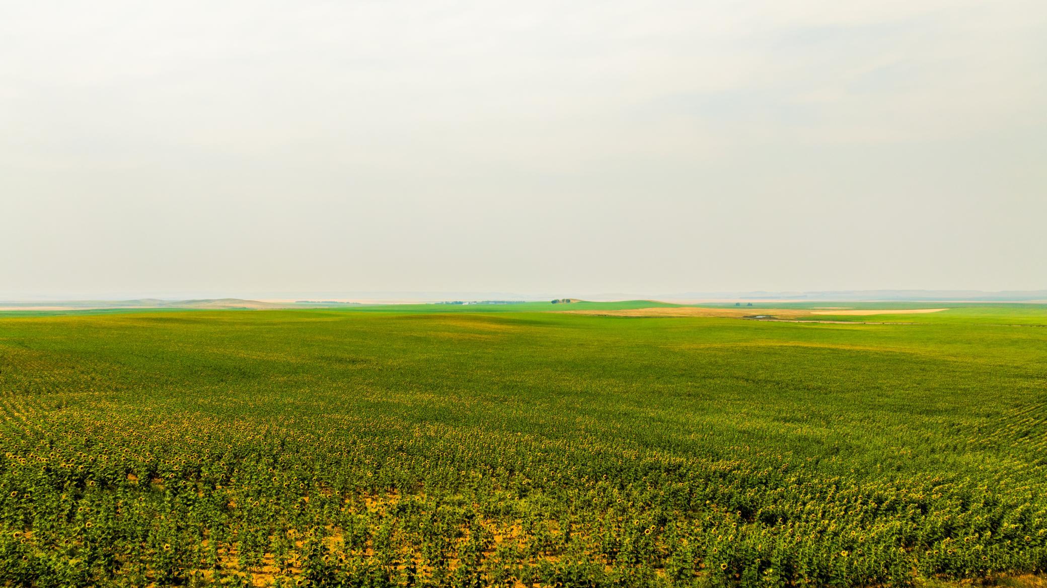 TBD Sec 35 31 St Se Lot 8, North Lemmon ND 58639 - Photo 31 of 34