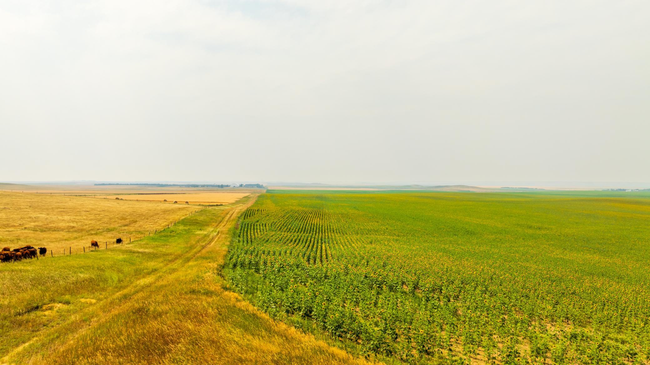 TBD Sec 35 31 St Se Lot 8, North Lemmon ND 58639 - Photo 32 of 34