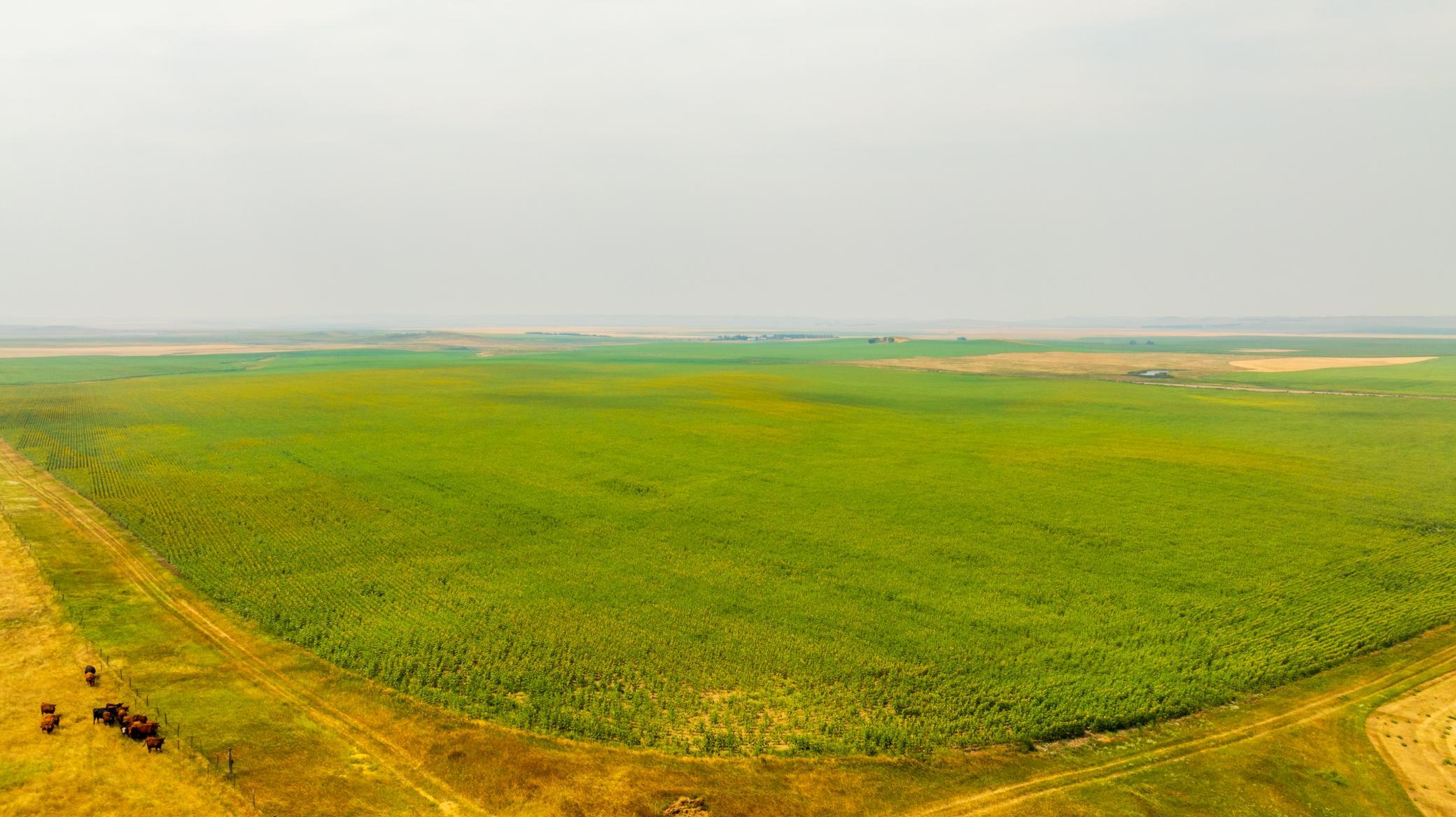 TBD Sec 35 31 St Se Lot 8, North Lemmon ND 58639 - Photo 33 of 34