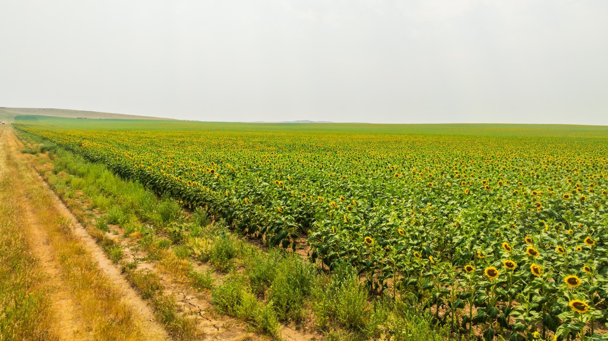 TBD Sec 35 31 St Se Lot 8, North Lemmon ND 58639 - Photo 5 of 34