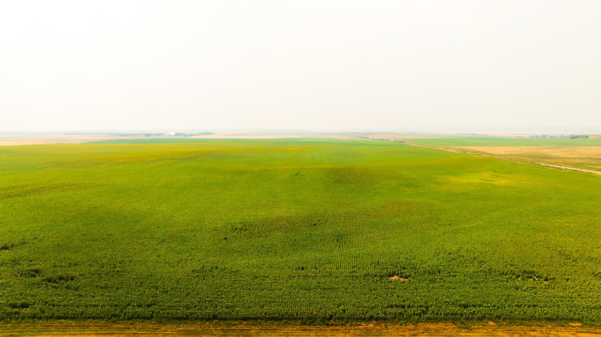 TBD Sec 35 31 St Se Lot 8, North Lemmon ND 58639 - Photo 8 of 34