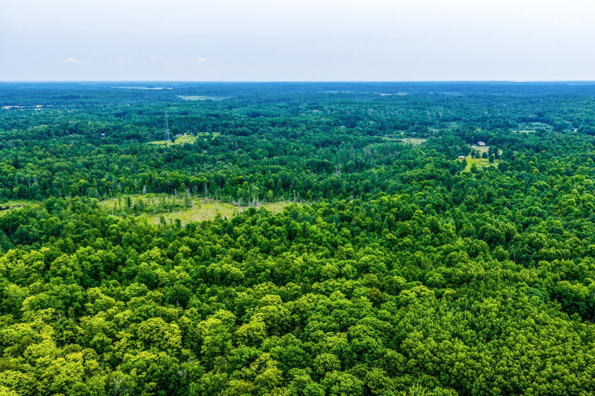 land for sale at TBD Scenic Highway in Pennington, MN (photo 2 of 18)