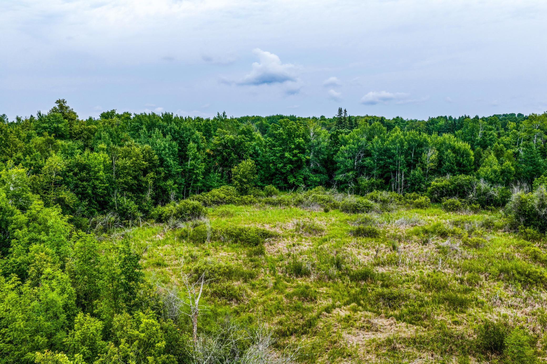 land for sale at TBD Scenic Highway in Pennington, MN (photo 12 of 18)