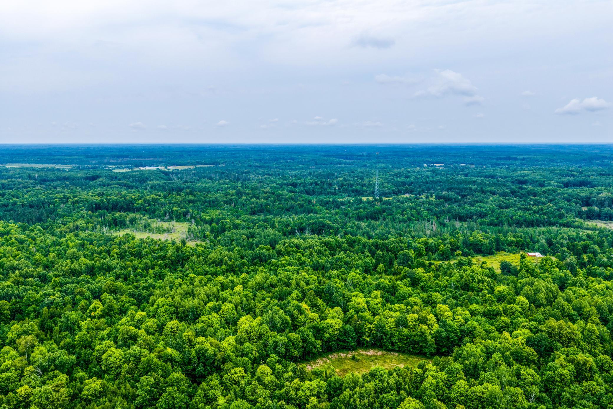 land for sale at TBD Scenic Highway in Pennington, MN (photo 13 of 18)