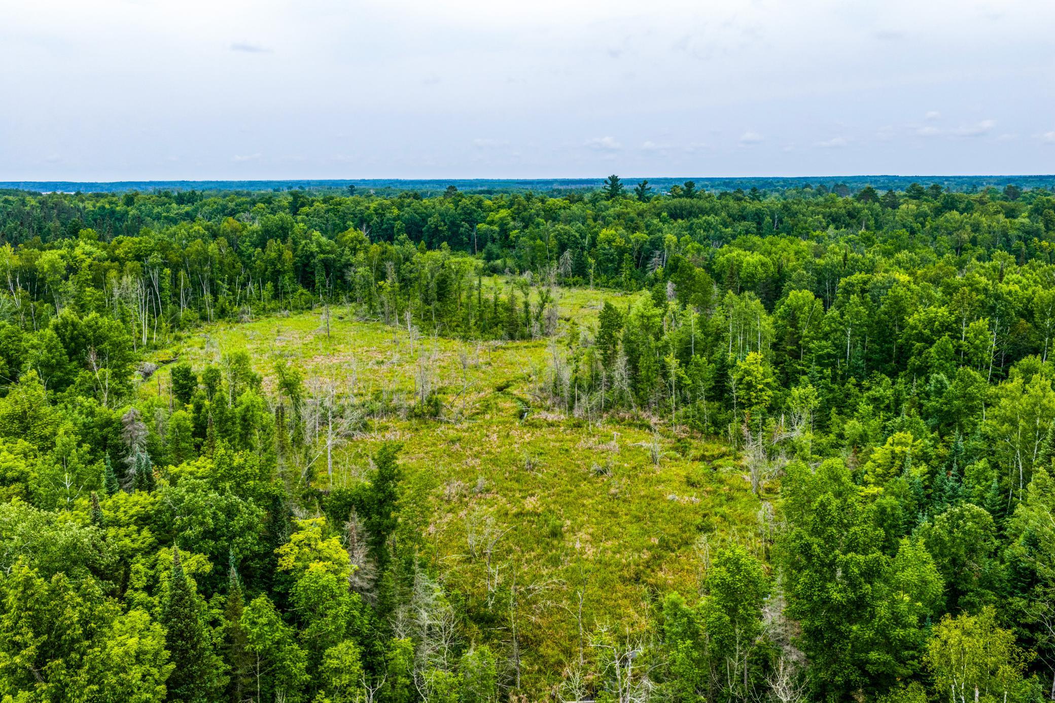 land for sale at TBD Scenic Highway in Pennington, MN (photo 14 of 18)