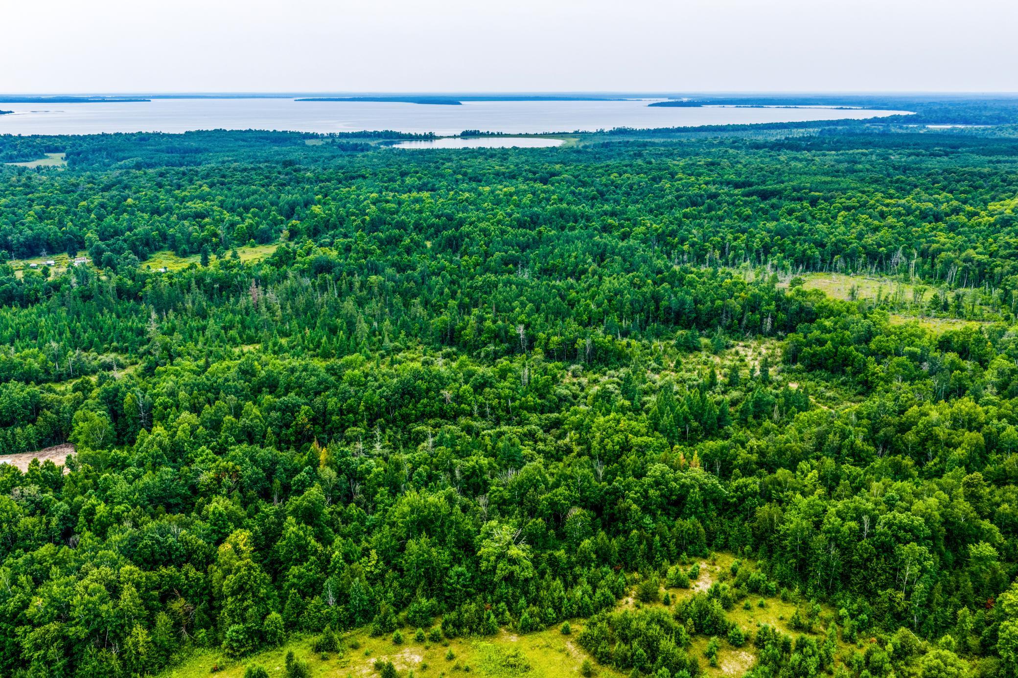 land for sale at TBD Scenic Highway in Pennington, MN (photo 3 of 18)