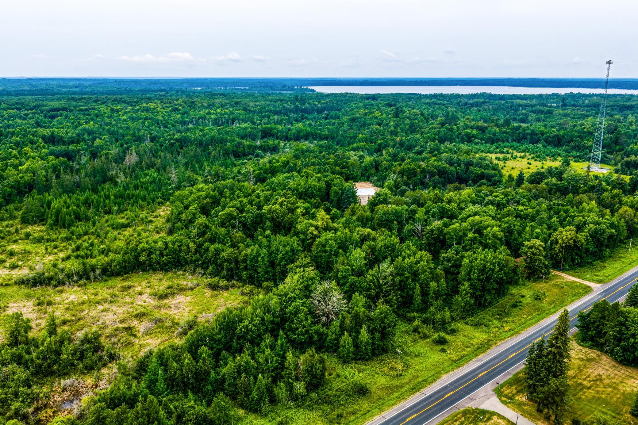 land for sale at TBD Scenic Highway in Pennington, MN (photo 4 of 18)