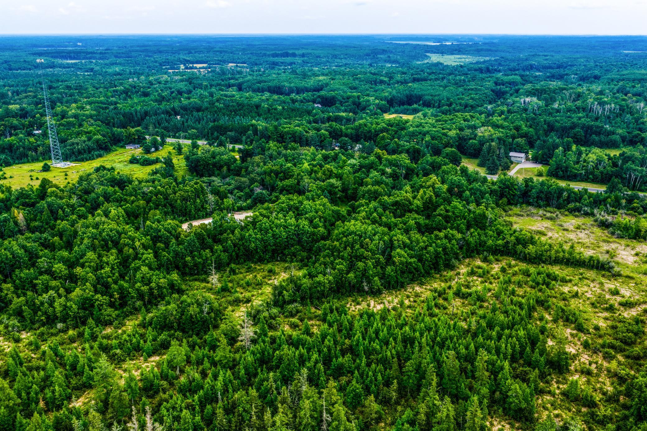 land for sale at TBD Scenic Highway in Pennington, MN (photo 9 of 18)