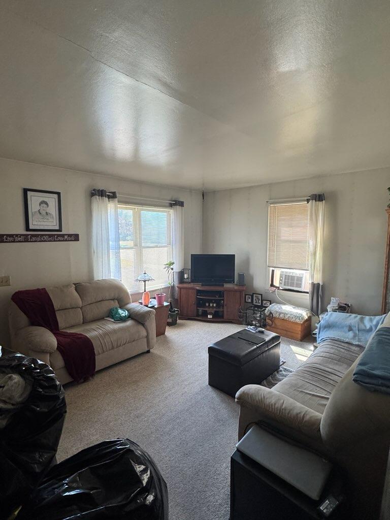 516 Kempel Drive, Lisbon ND 58054 - Photo 8 of 9