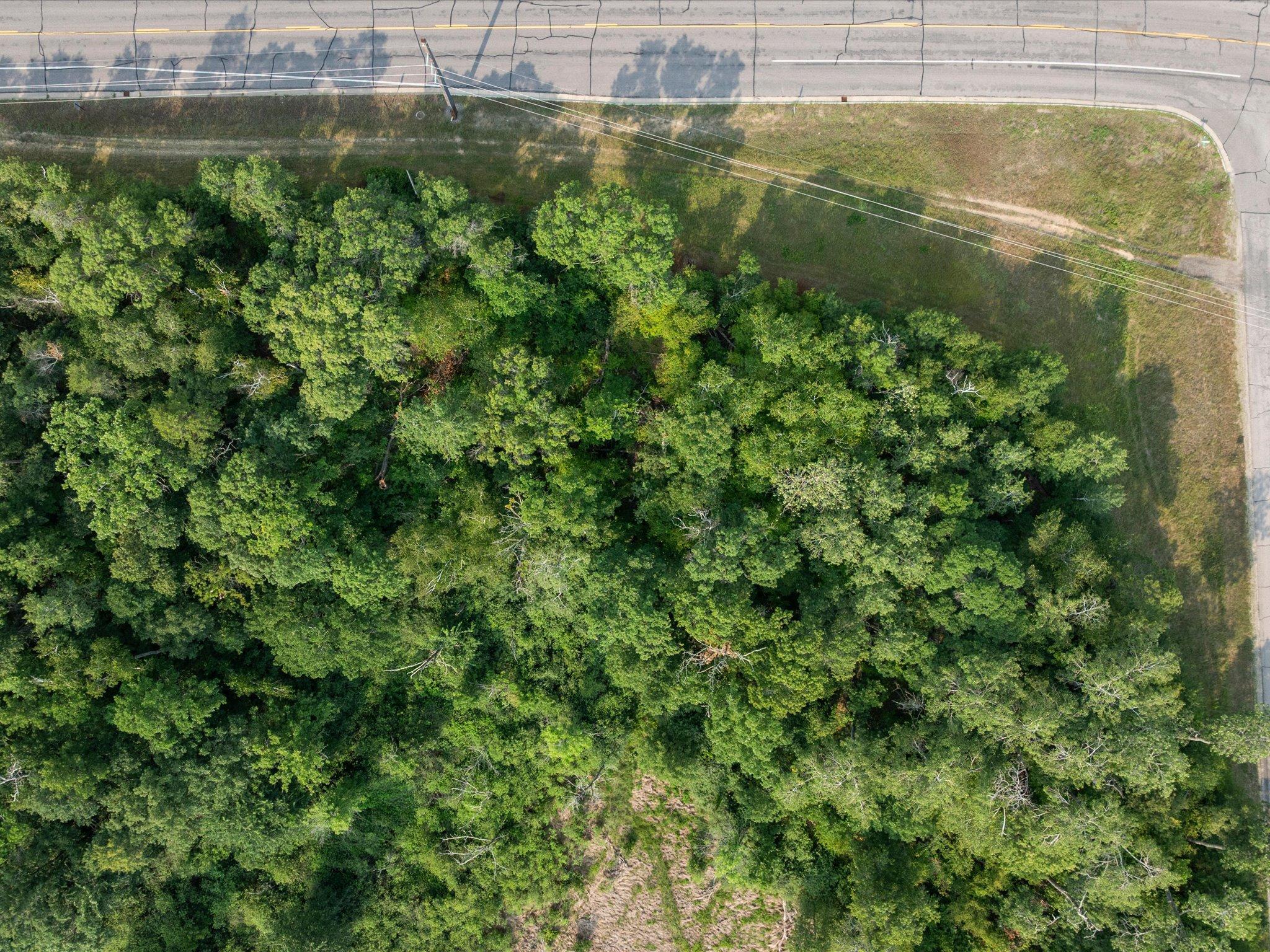 land for sale at TBD Weavers Point Road in Breezy Point, MN (photo 3 of 12)