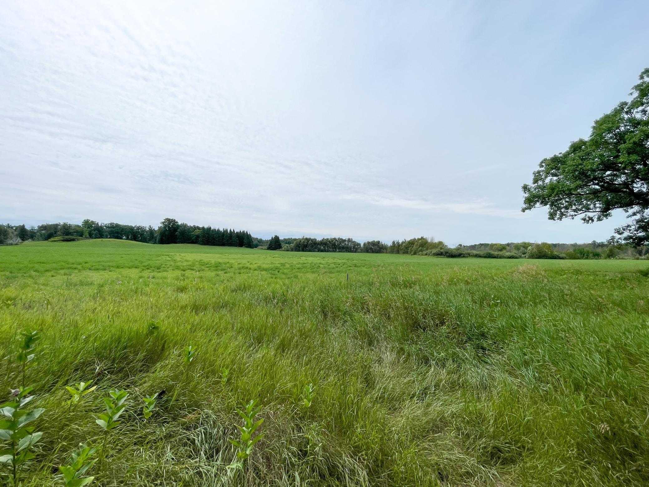 46635 S Pine Lake Road, Gonvick MN 56644 - Photo 51 of 84
