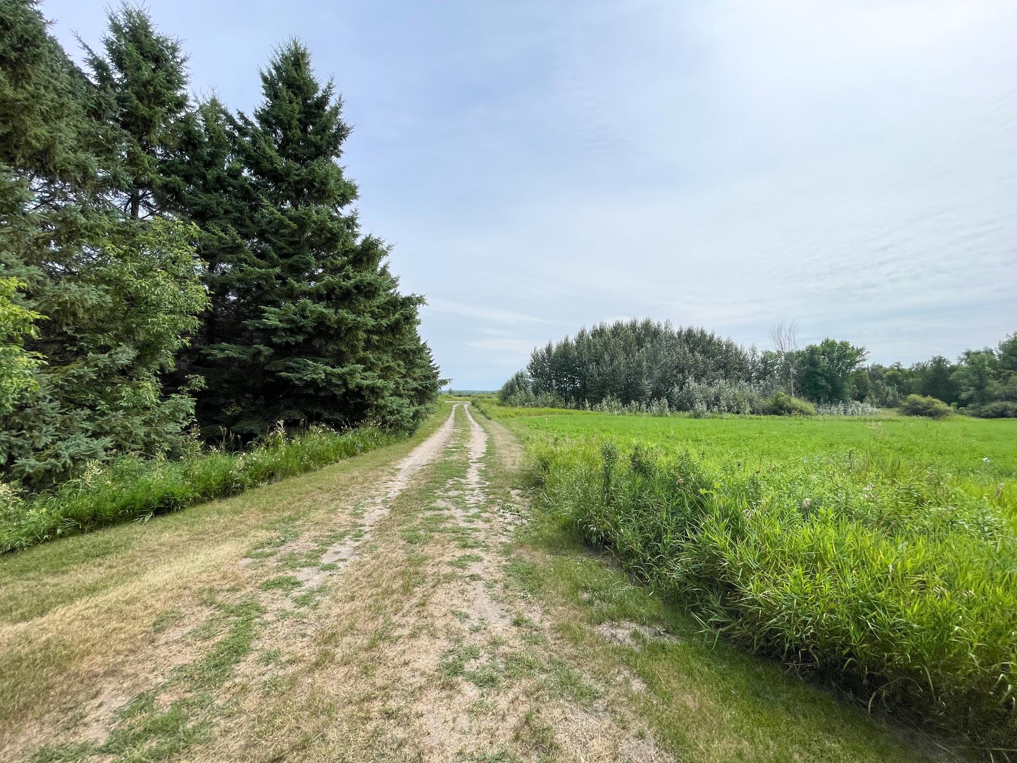 46635 S Pine Lake Road, Gonvick MN 56644 - Photo 52 of 84