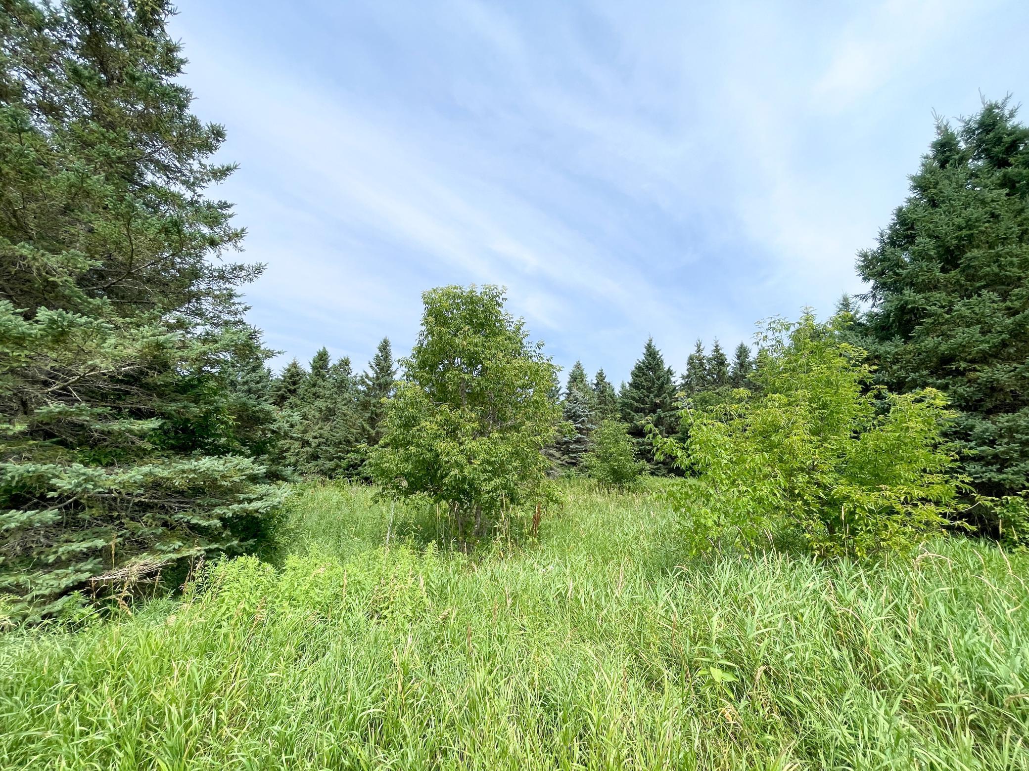 46635 S Pine Lake Road, Gonvick MN 56644 - Photo 54 of 84