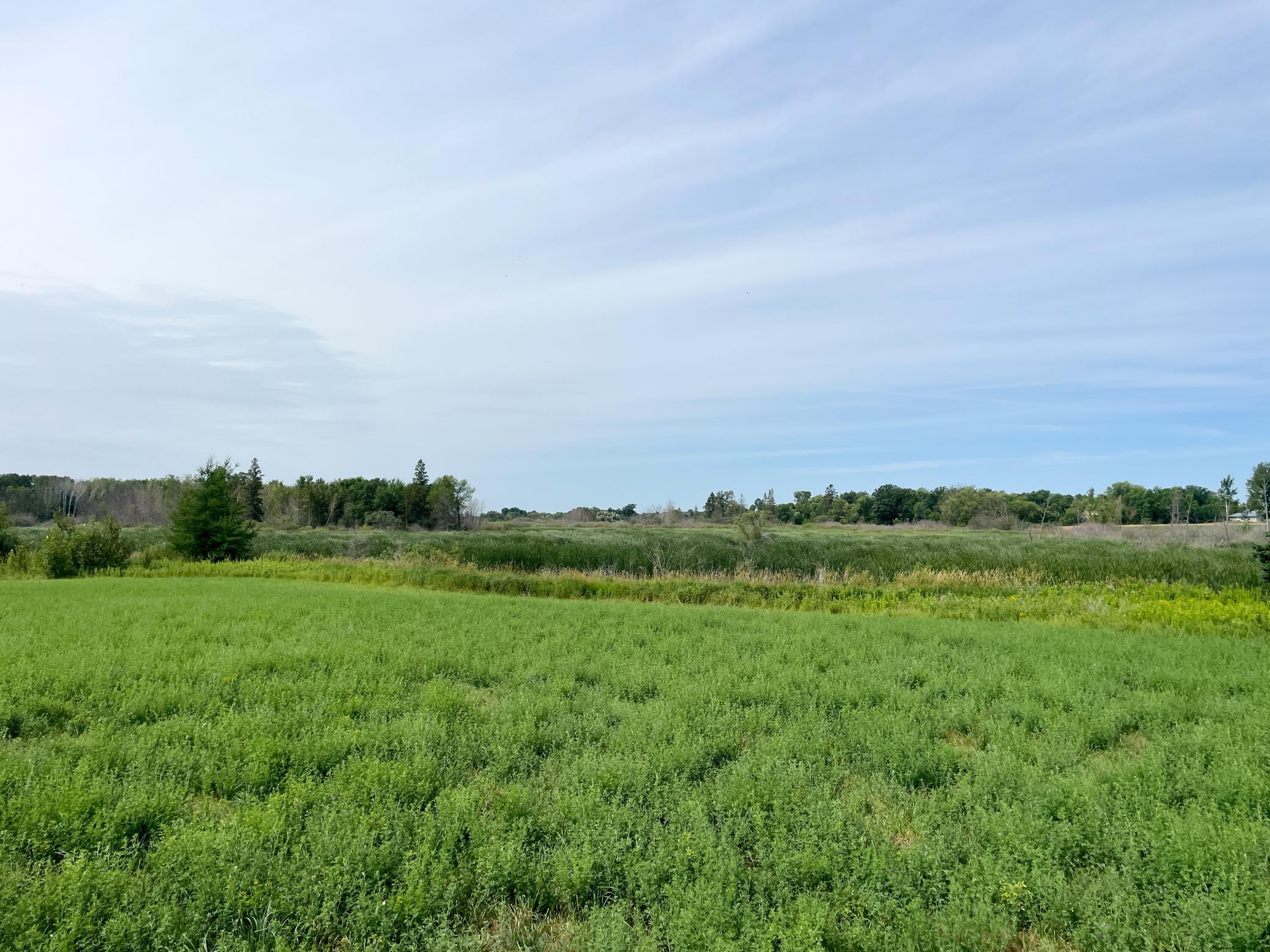 46635 S Pine Lake Road, Gonvick MN 56644 - Photo 55 of 84