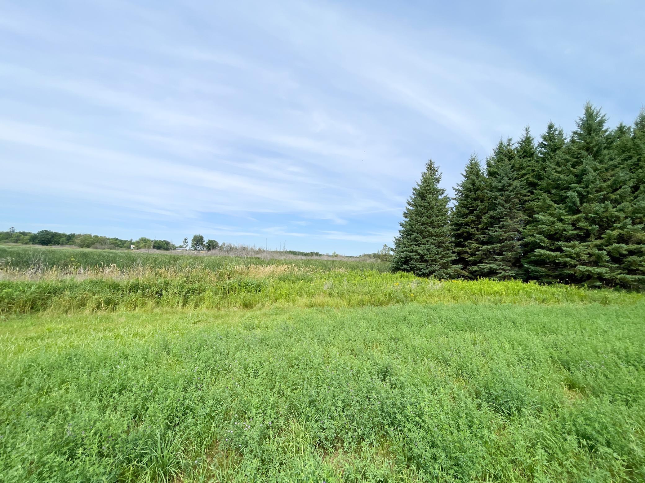 46635 S Pine Lake Road, Gonvick MN 56644 - Photo 56 of 84