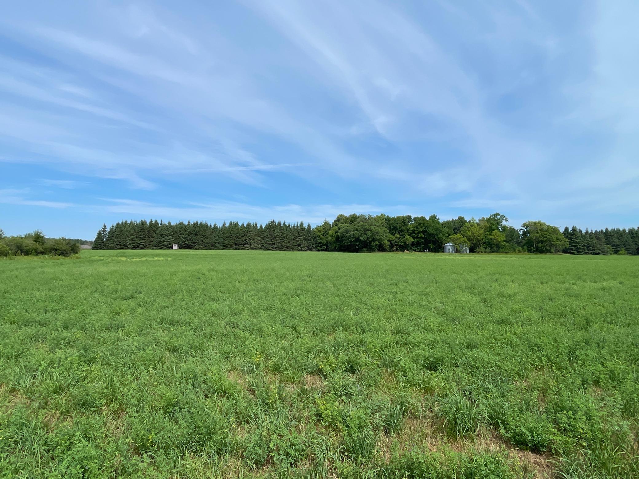 46635 S Pine Lake Road, Gonvick MN 56644 - Photo 58 of 84