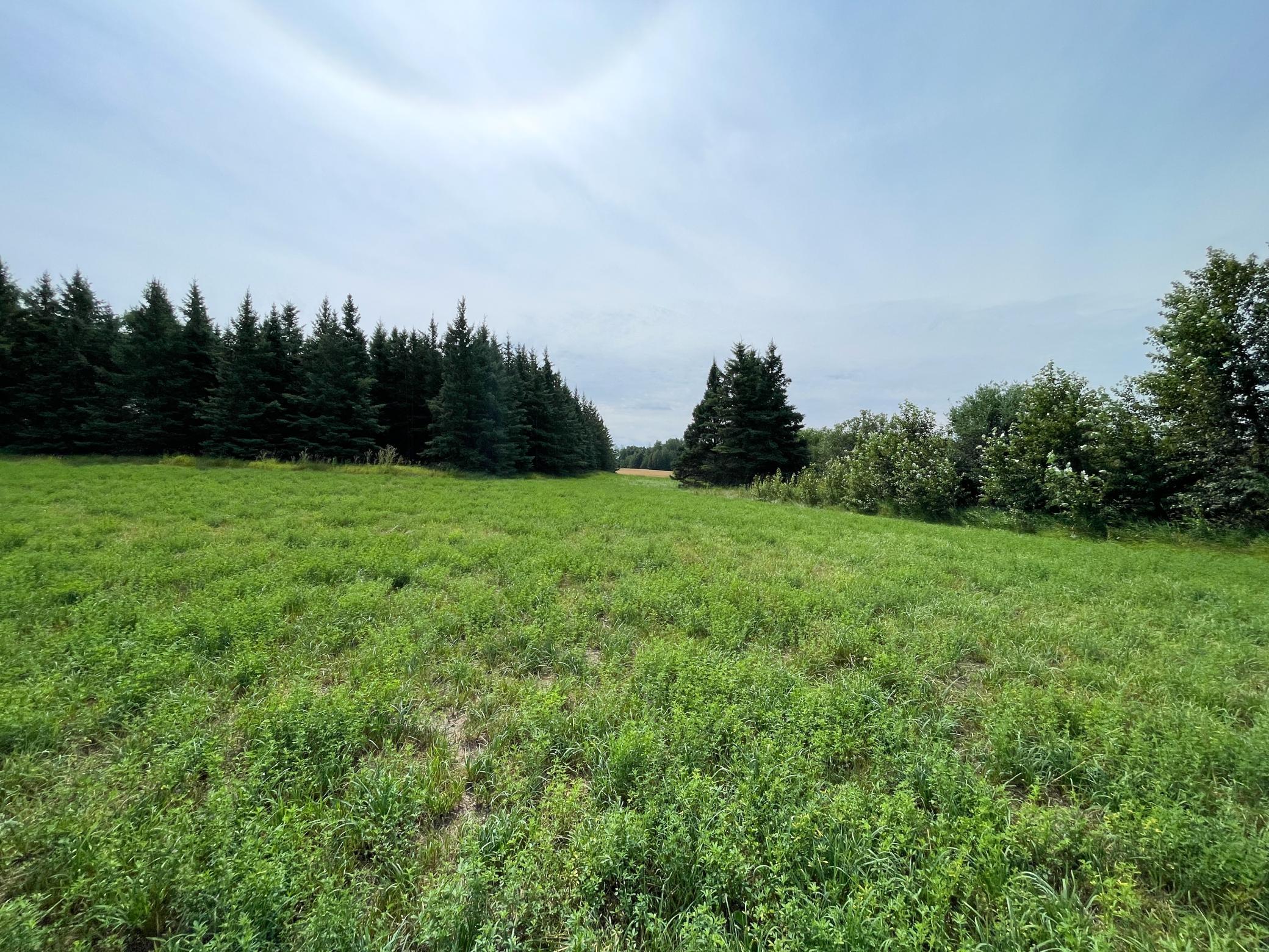 46635 S Pine Lake Road, Gonvick MN 56644 - Photo 59 of 84