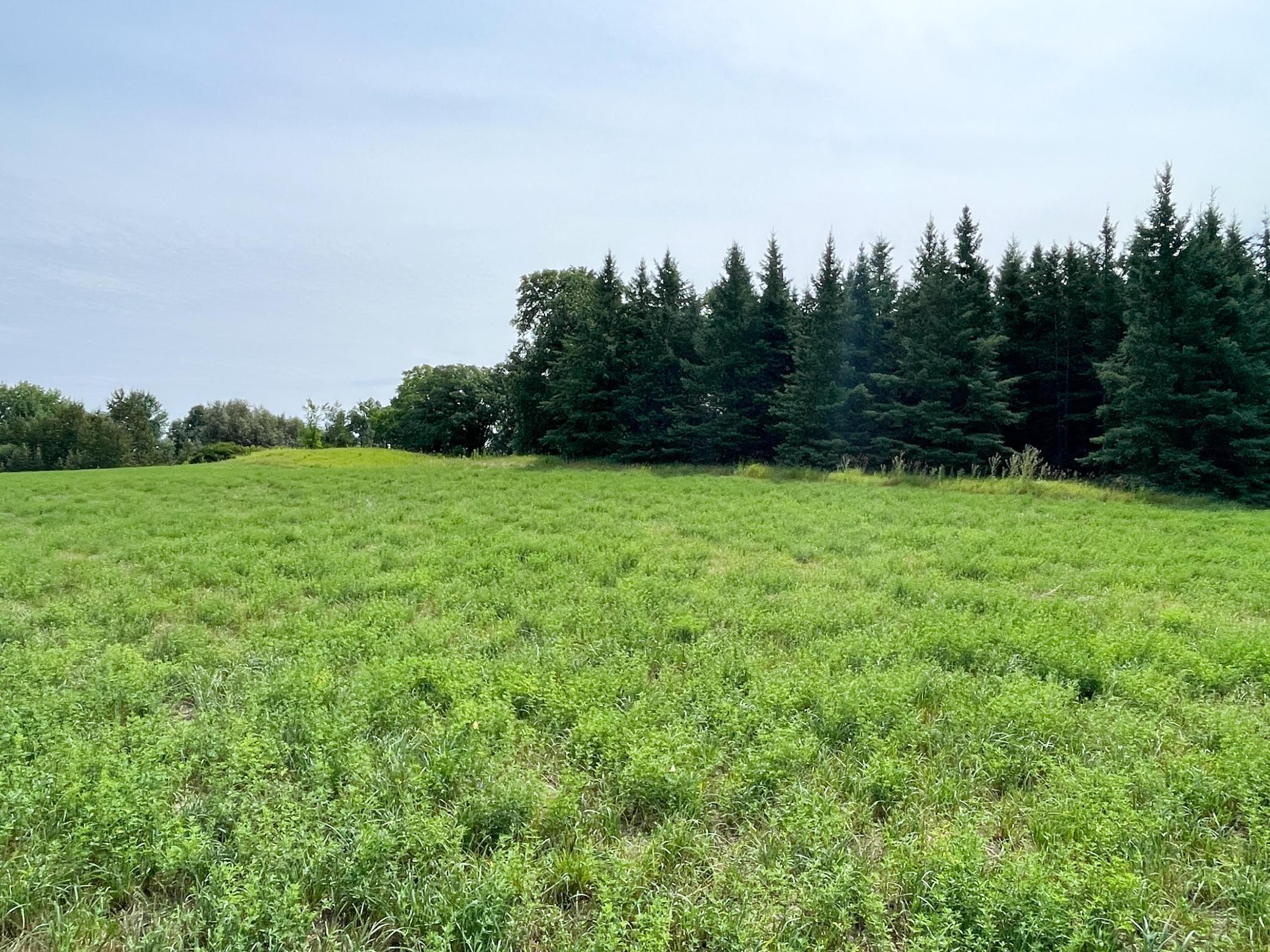 46635 S Pine Lake Road, Gonvick MN 56644 - Photo 60 of 84