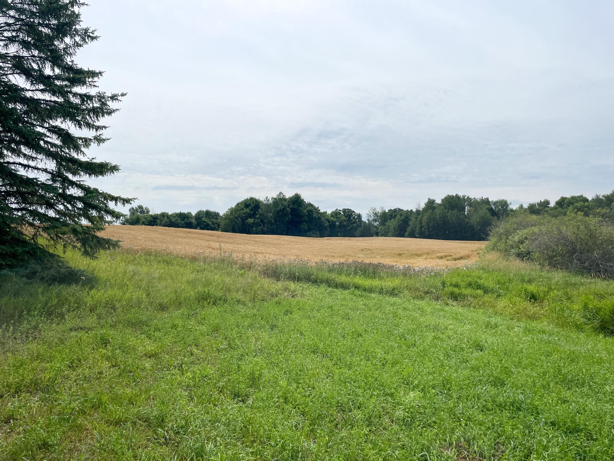 46635 S Pine Lake Road, Gonvick MN 56644 - Photo 61 of 84
