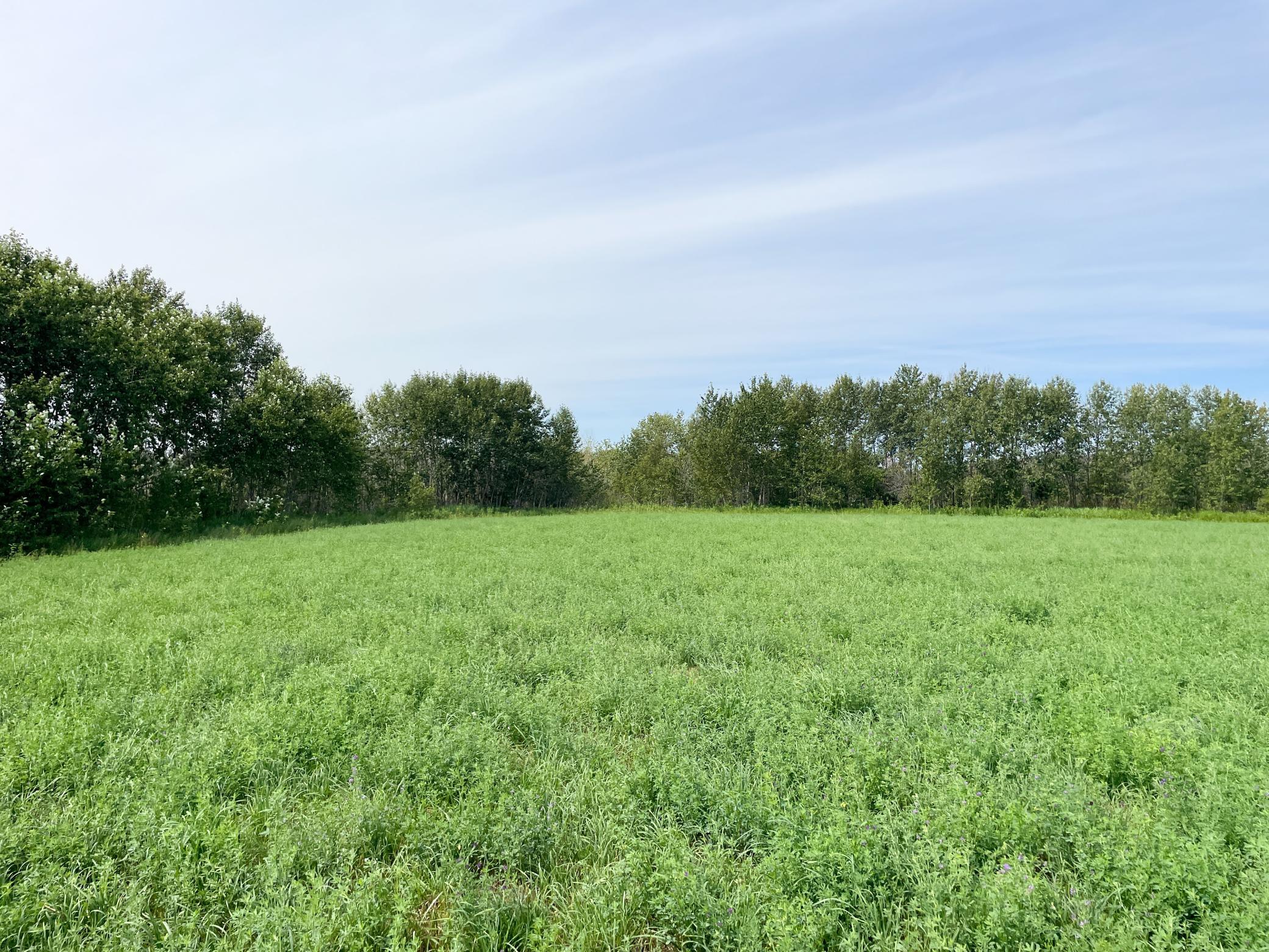 46635 S Pine Lake Road, Gonvick MN 56644 - Photo 67 of 84