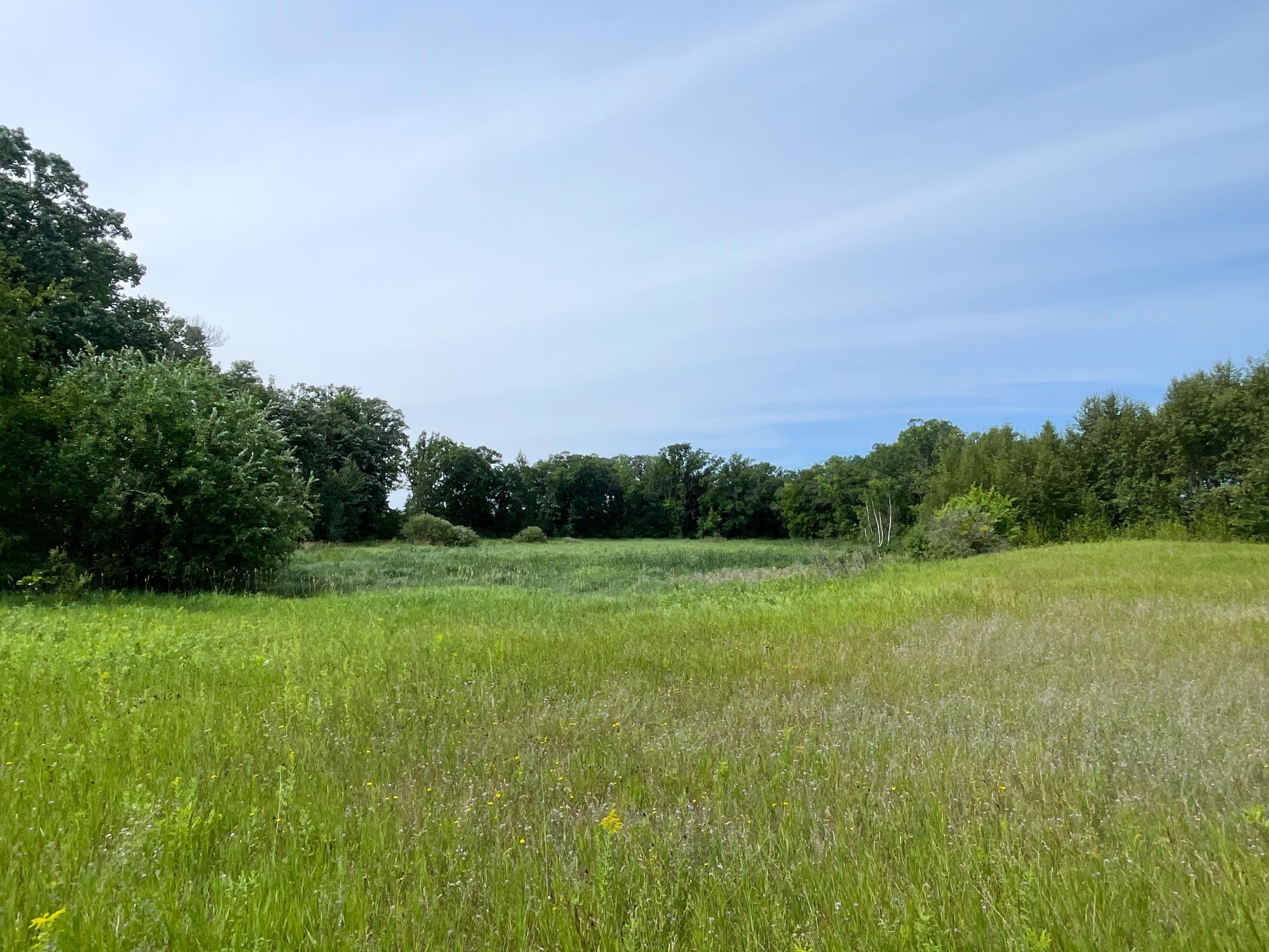 46635 S Pine Lake Road, Gonvick MN 56644 - Photo 68 of 84