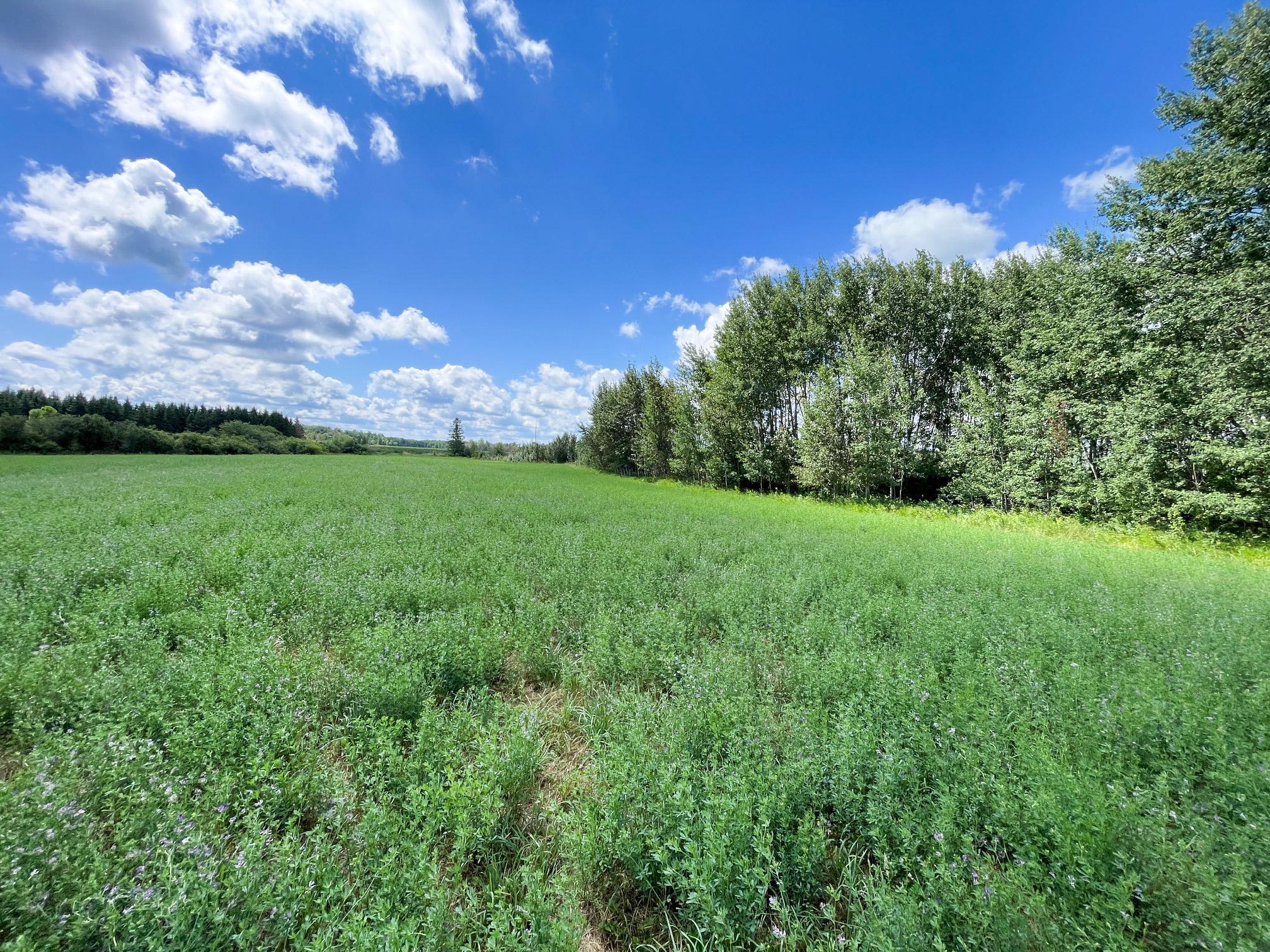 46635 S Pine Lake Road, Gonvick MN 56644 - Photo 69 of 84