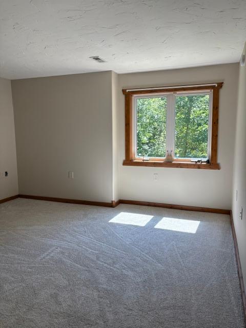2006 single family home for sale at 6423 Hay Creek Road in Fort Ripley, MN — 3 bed, 2 bath (photo 12 of 33)