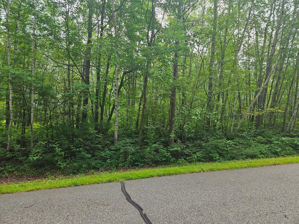 Lot 3 Blk 2 SW 1st Avenue, Grand Rapids MN 55744 - Photo 2 of 9