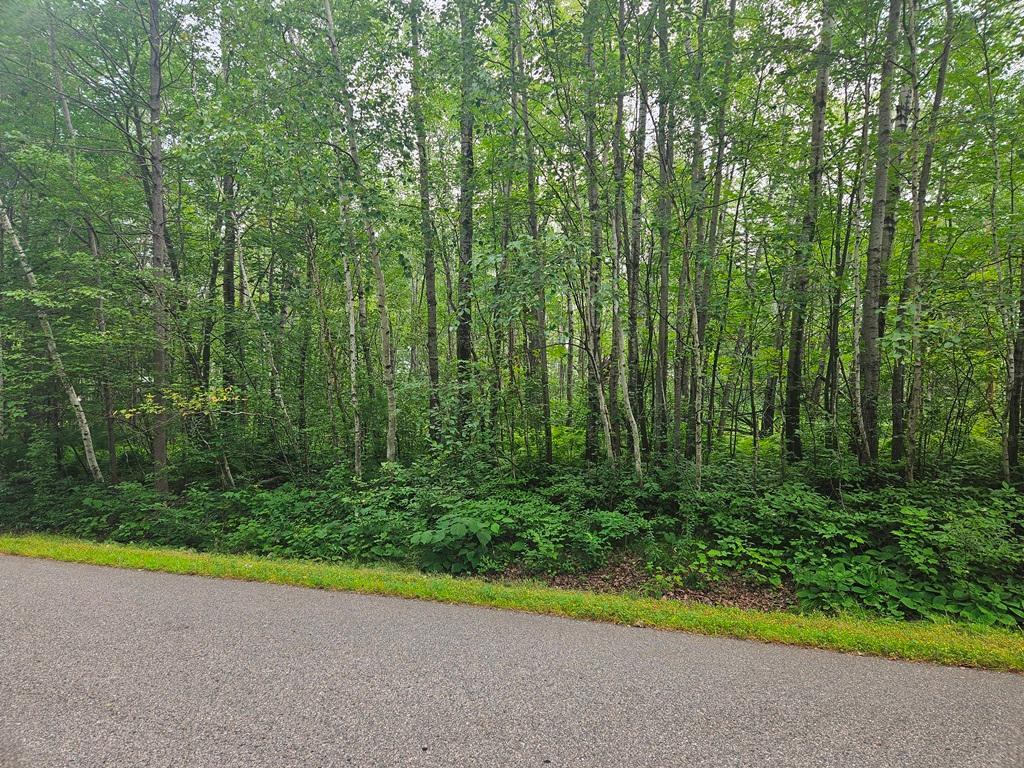 Lot 3 Blk 2 SW 1st Avenue, Grand Rapids MN 55744 - Photo 4 of 9