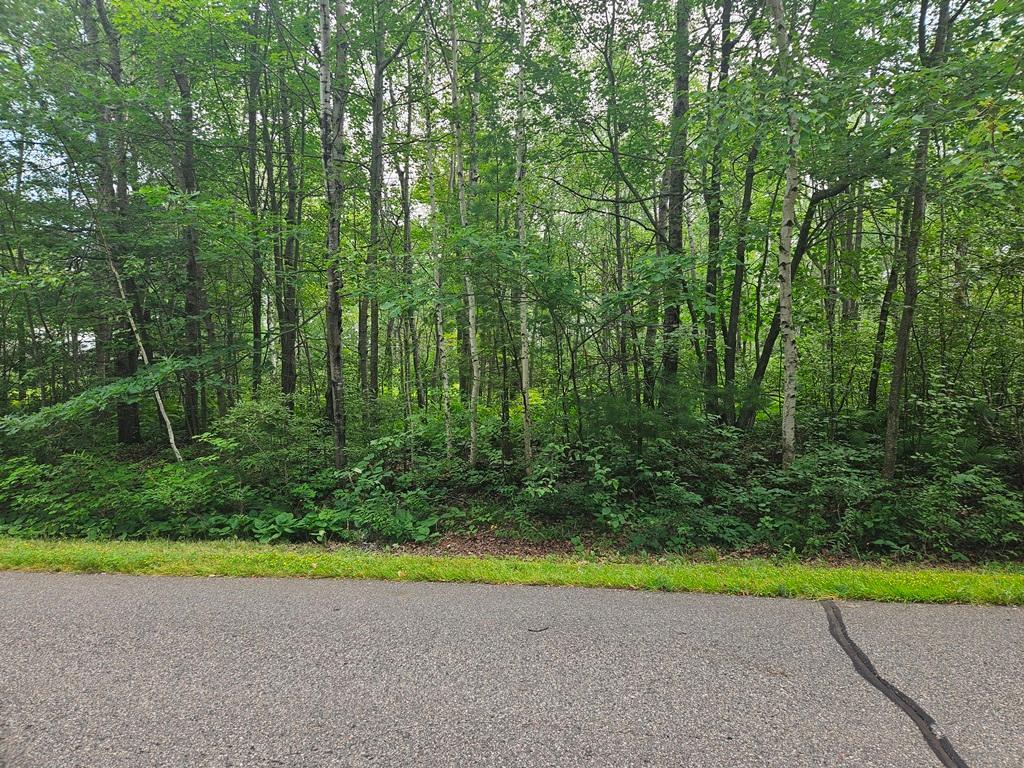 Lot 4 Blk 2 SW 1st Avenue, Grand Rapids MN 55744 - Photo 3 of 9