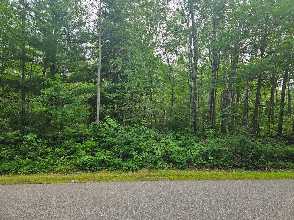 Lot 4 Blk 2 SW 1st Avenue, Grand Rapids MN 55744 - Photo 6 of 9