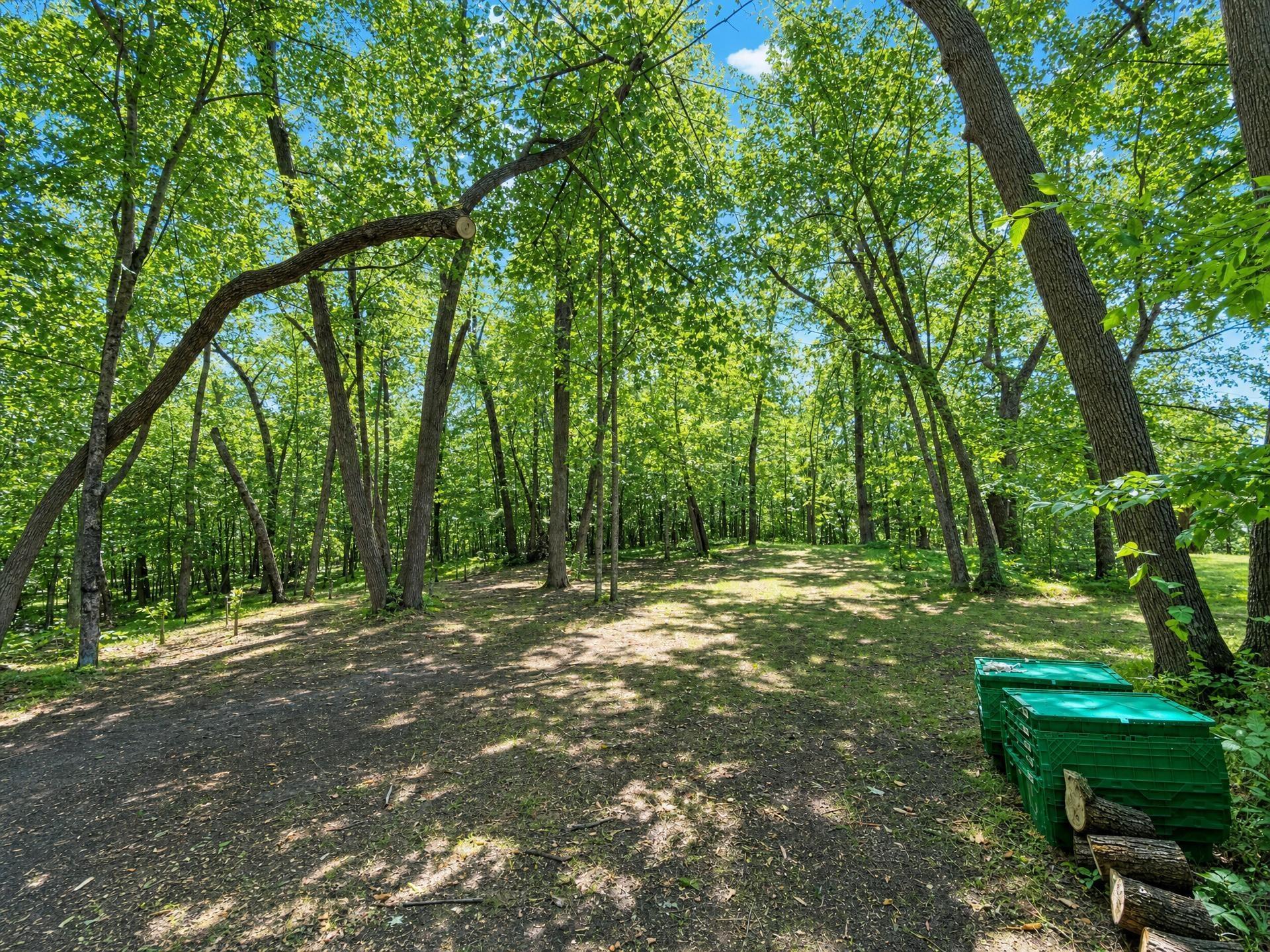 1960 single family home for sale at 23794 State 87 in Nevis, MN — 2 bed, 1 bath (photo 32 of 32)