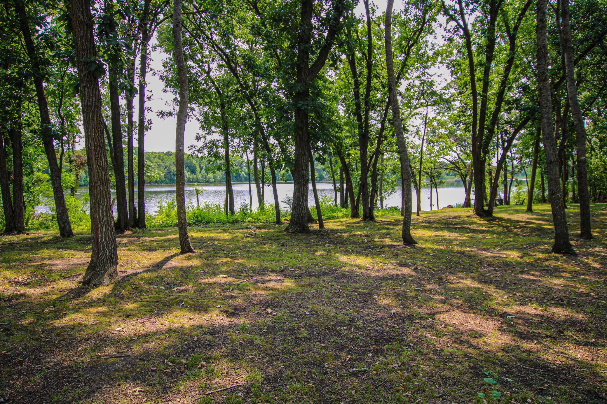 57776 County Highway 136, Parkers Prairie MN 56361 - Photo 8 of 45