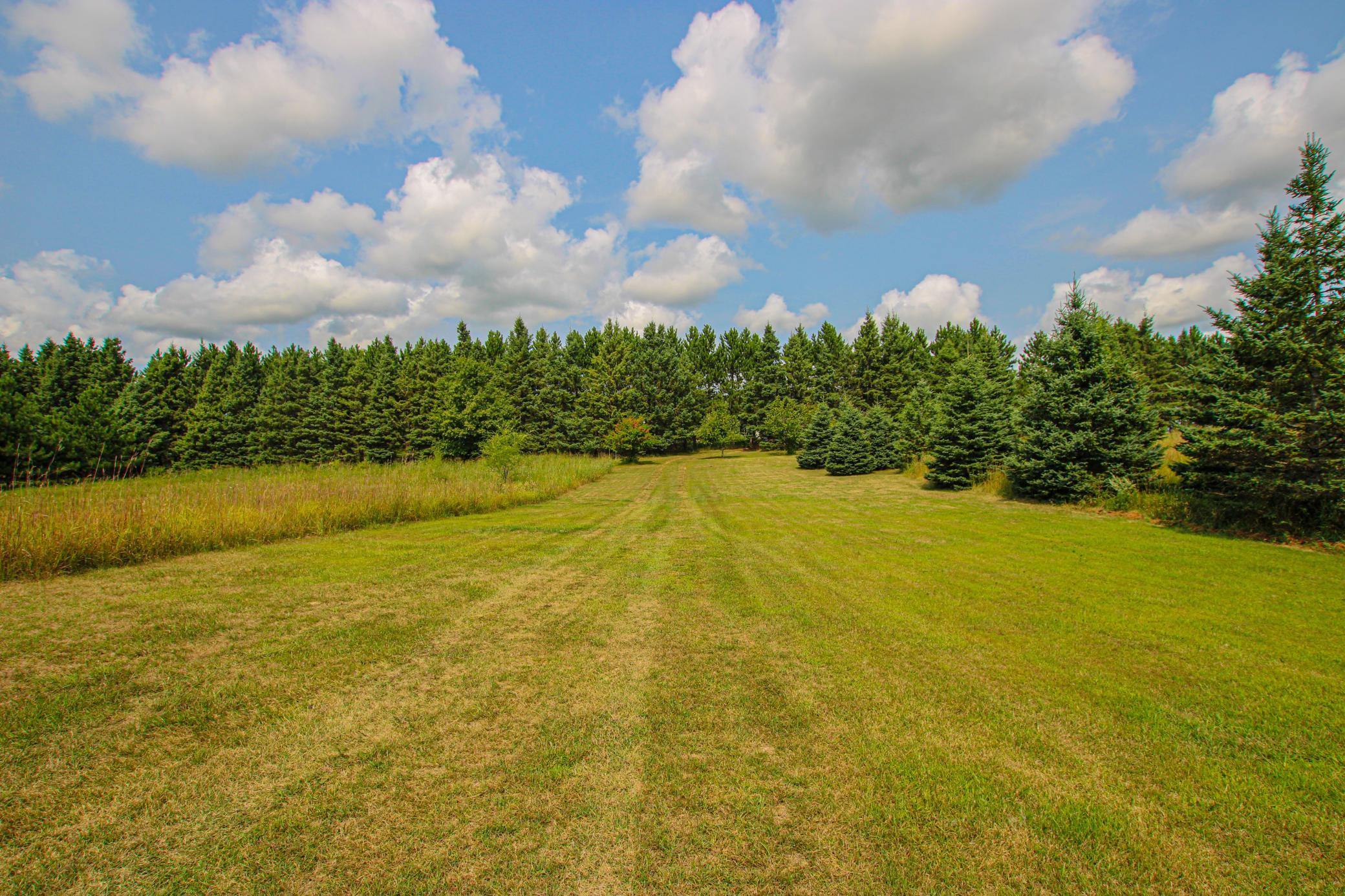 57776 County Highway 136, Parkers Prairie MN 56361 - Photo 10 of 45