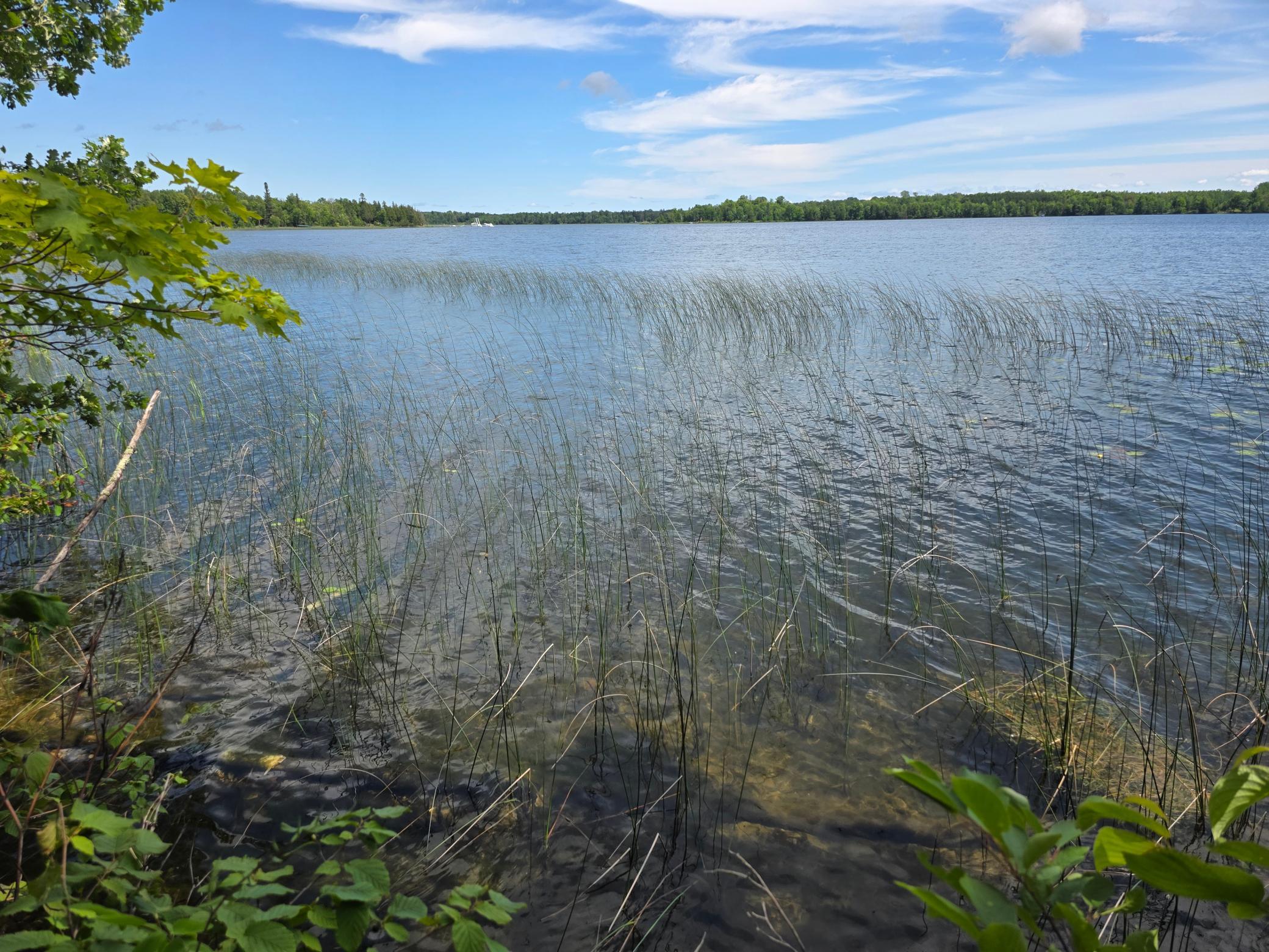 land for sale at TBD N Moose Lake Road NE in Pennington, MN (photo 2 of 19)