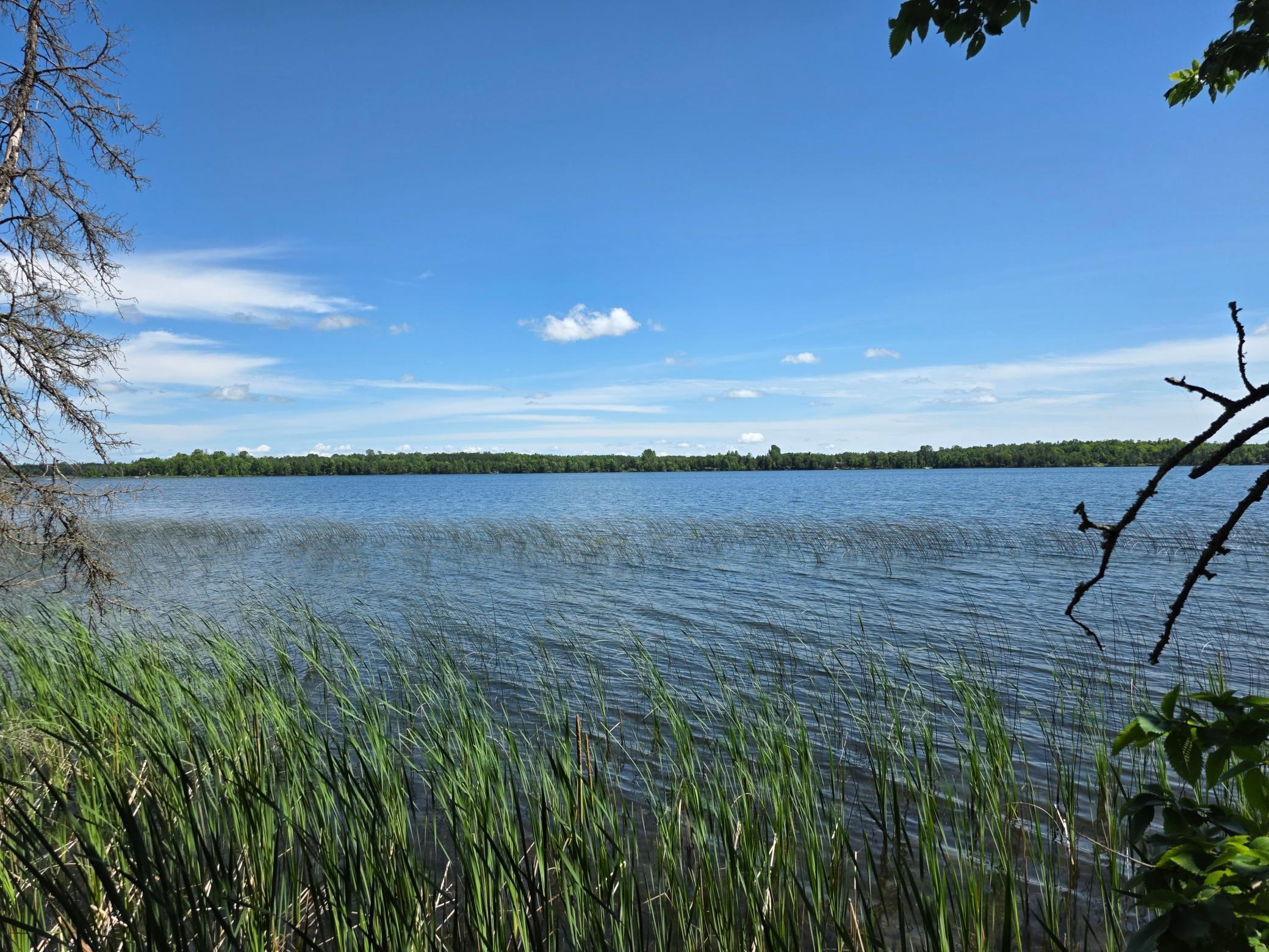 land for sale at TBD N Moose Lake Road NE in Pennington, MN (photo 13 of 19)