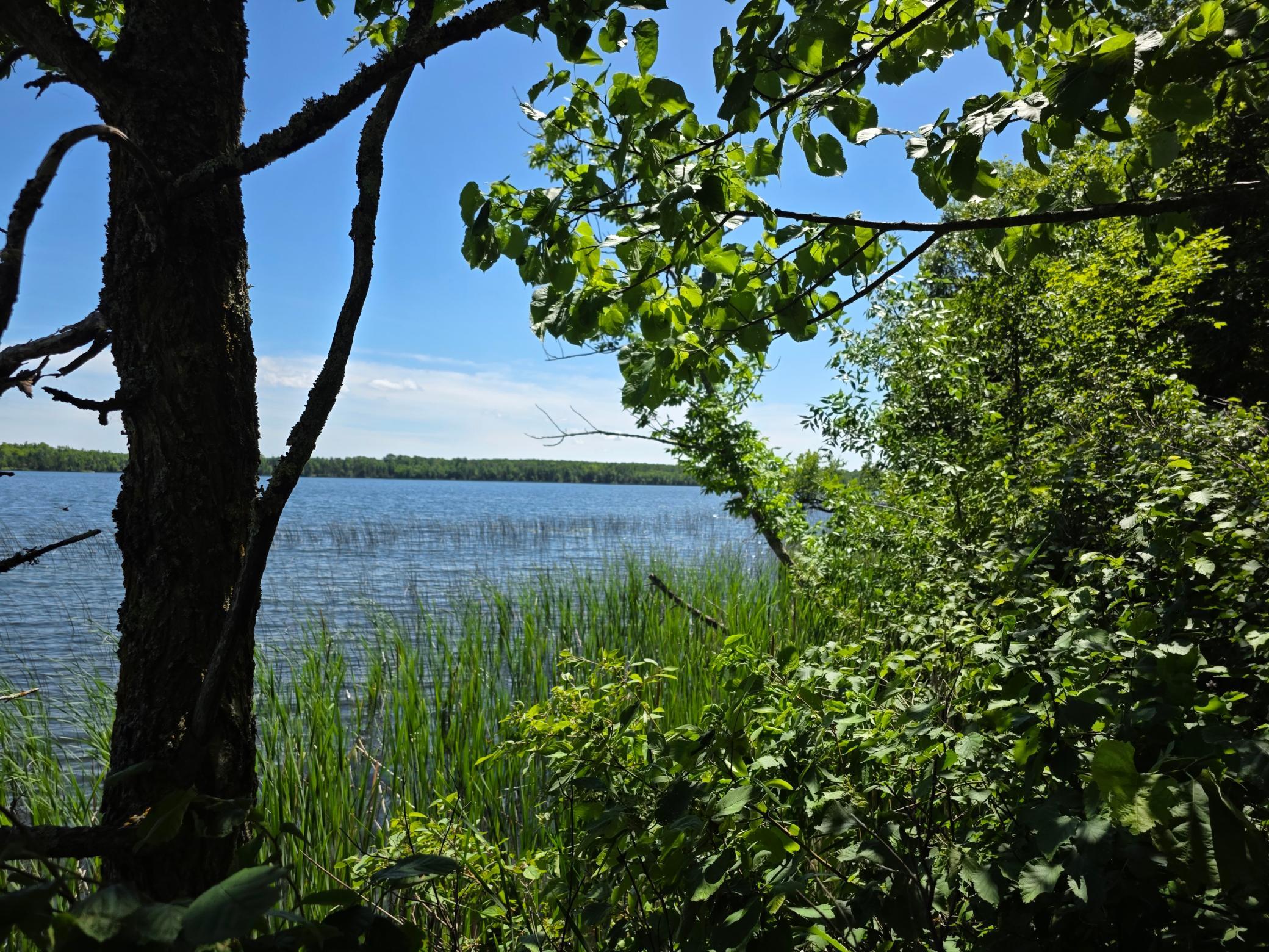 land for sale at TBD N Moose Lake Road NE in Pennington, MN (photo 14 of 19)