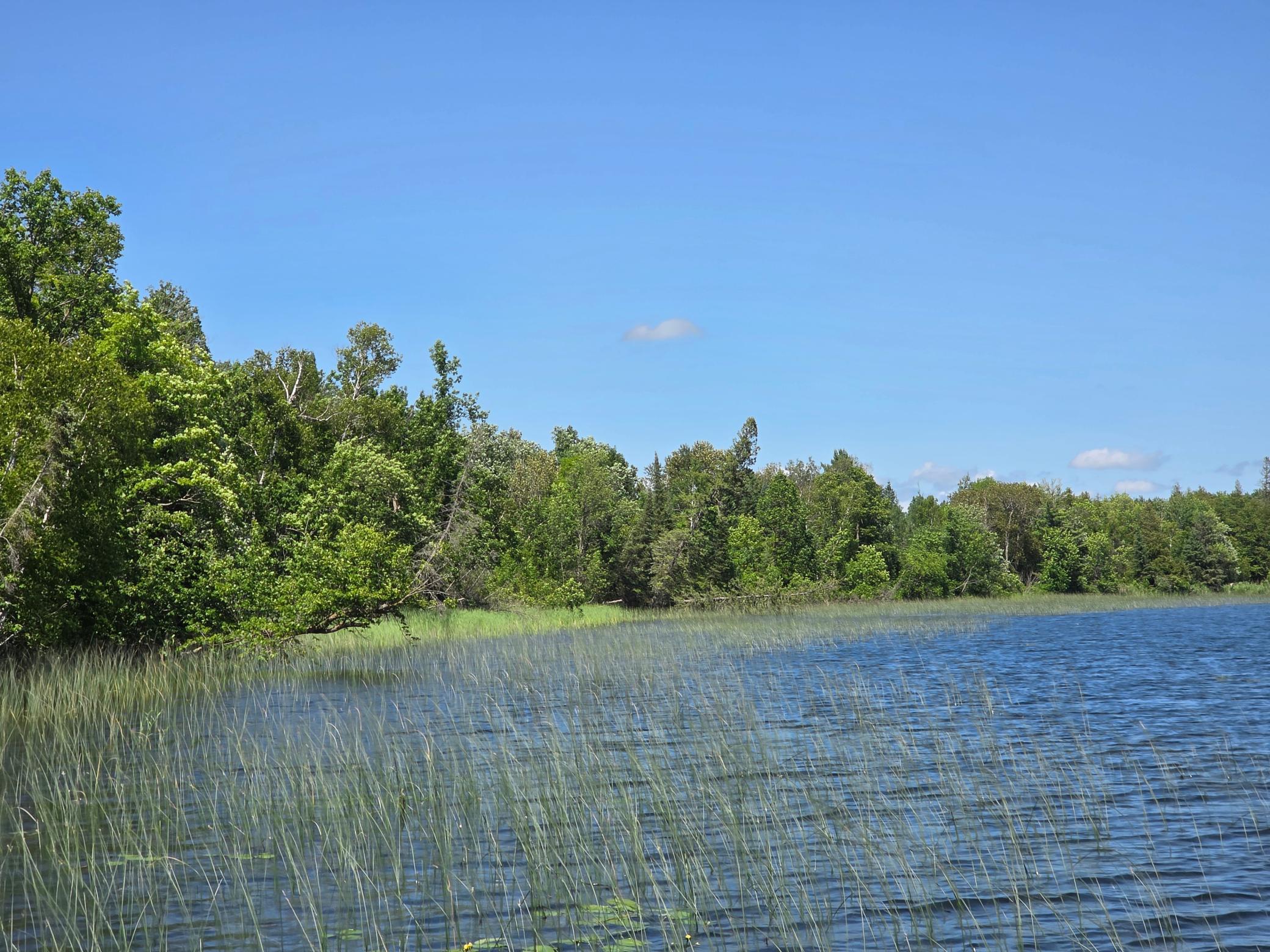 land for sale at TBD N Moose Lake Road NE in Pennington, MN (photo 15 of 19)