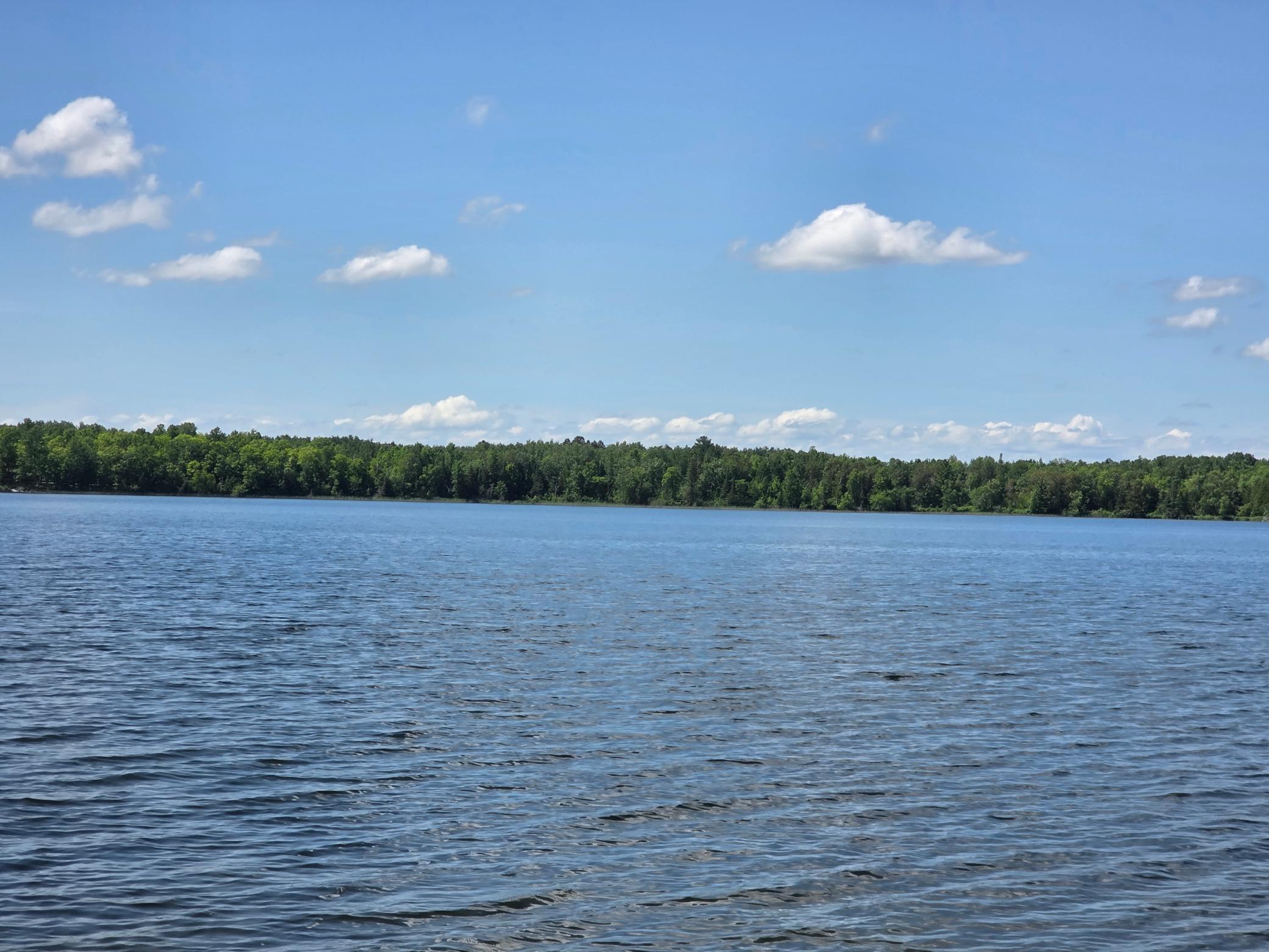 land for sale at TBD N Moose Lake Road NE in Pennington, MN (photo 16 of 19)
