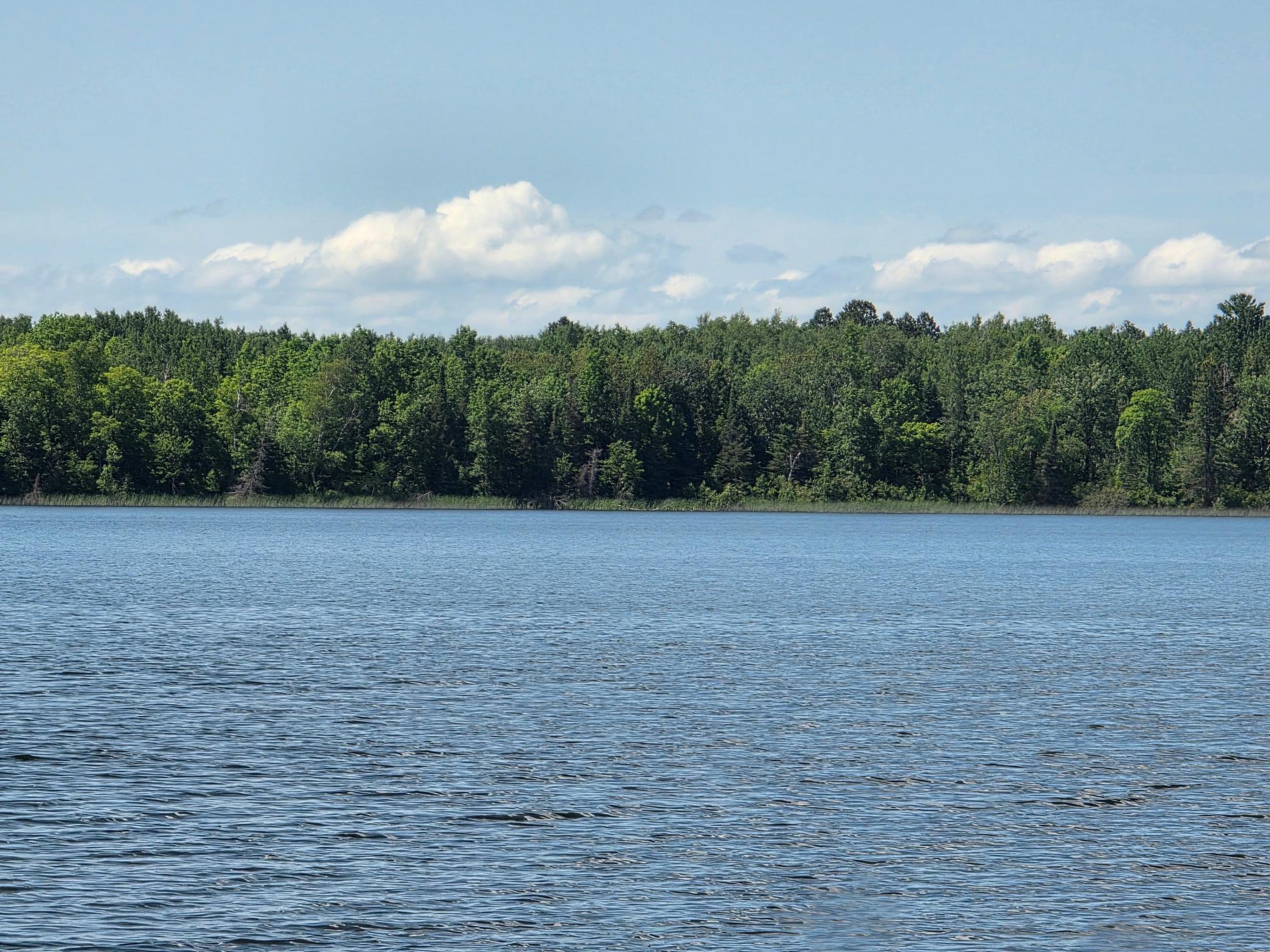 land for sale at TBD N Moose Lake Road NE in Pennington, MN (photo 17 of 19)