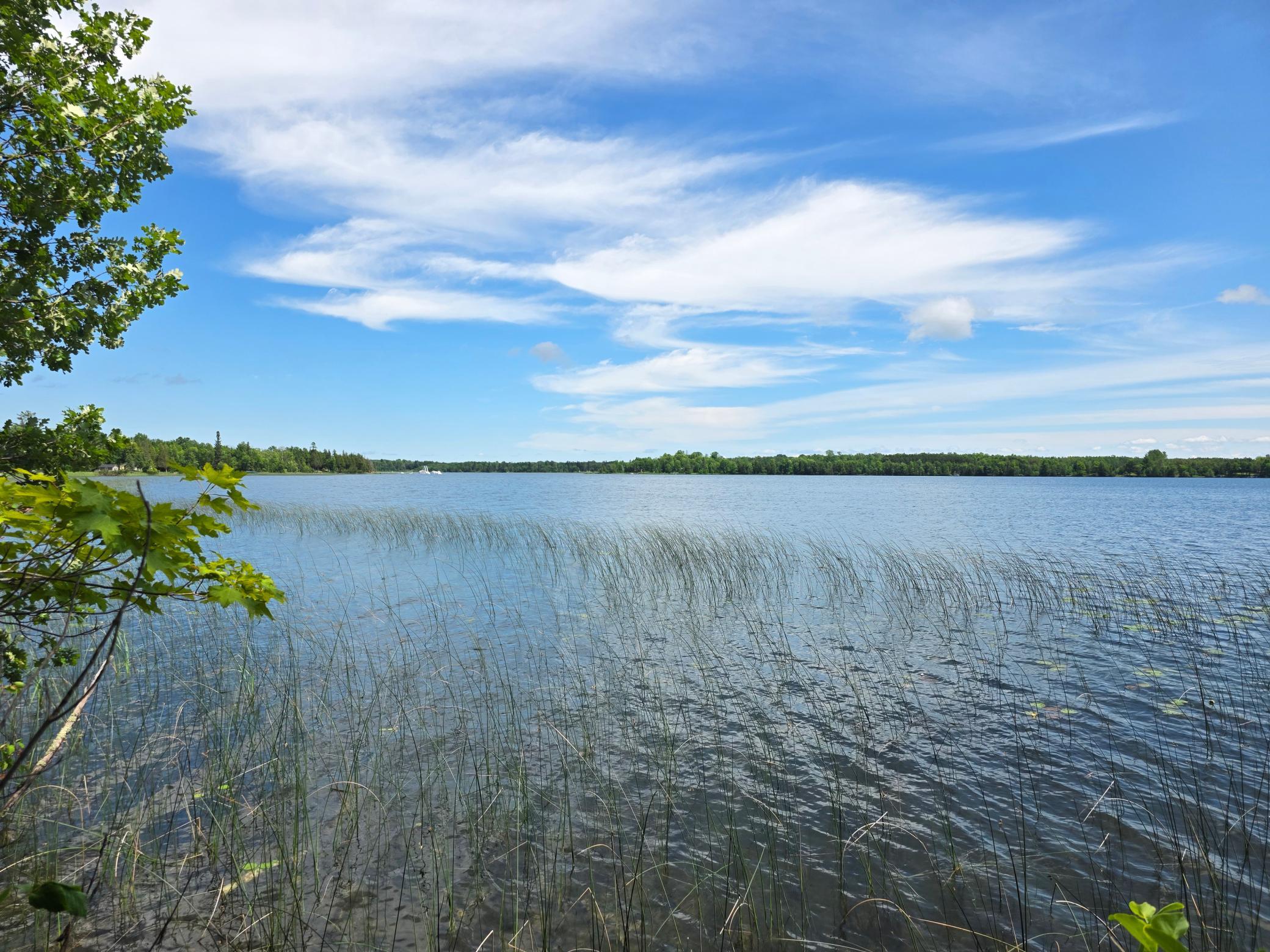 land for sale at TBD N Moose Lake Road NE in Pennington, MN (photo 3 of 19)