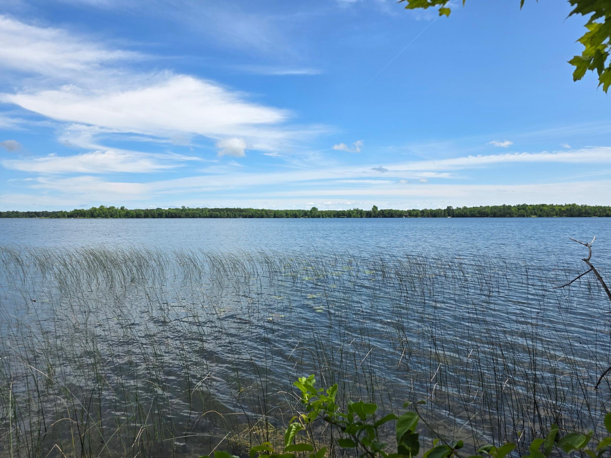 land for sale at TBD N Moose Lake Road NE in Pennington, MN (photo 4 of 19)