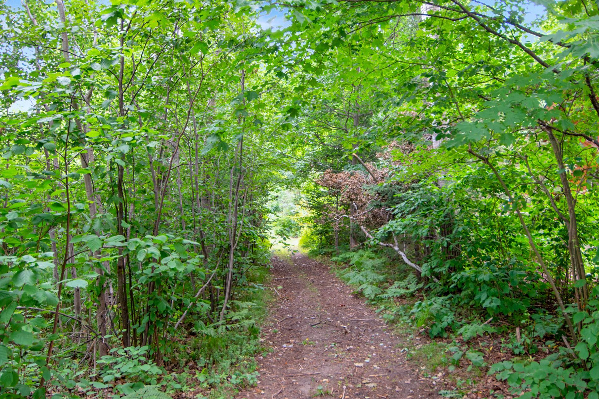 18422 483rd Street, McGregor MN 55760 - Photo 45 of 56