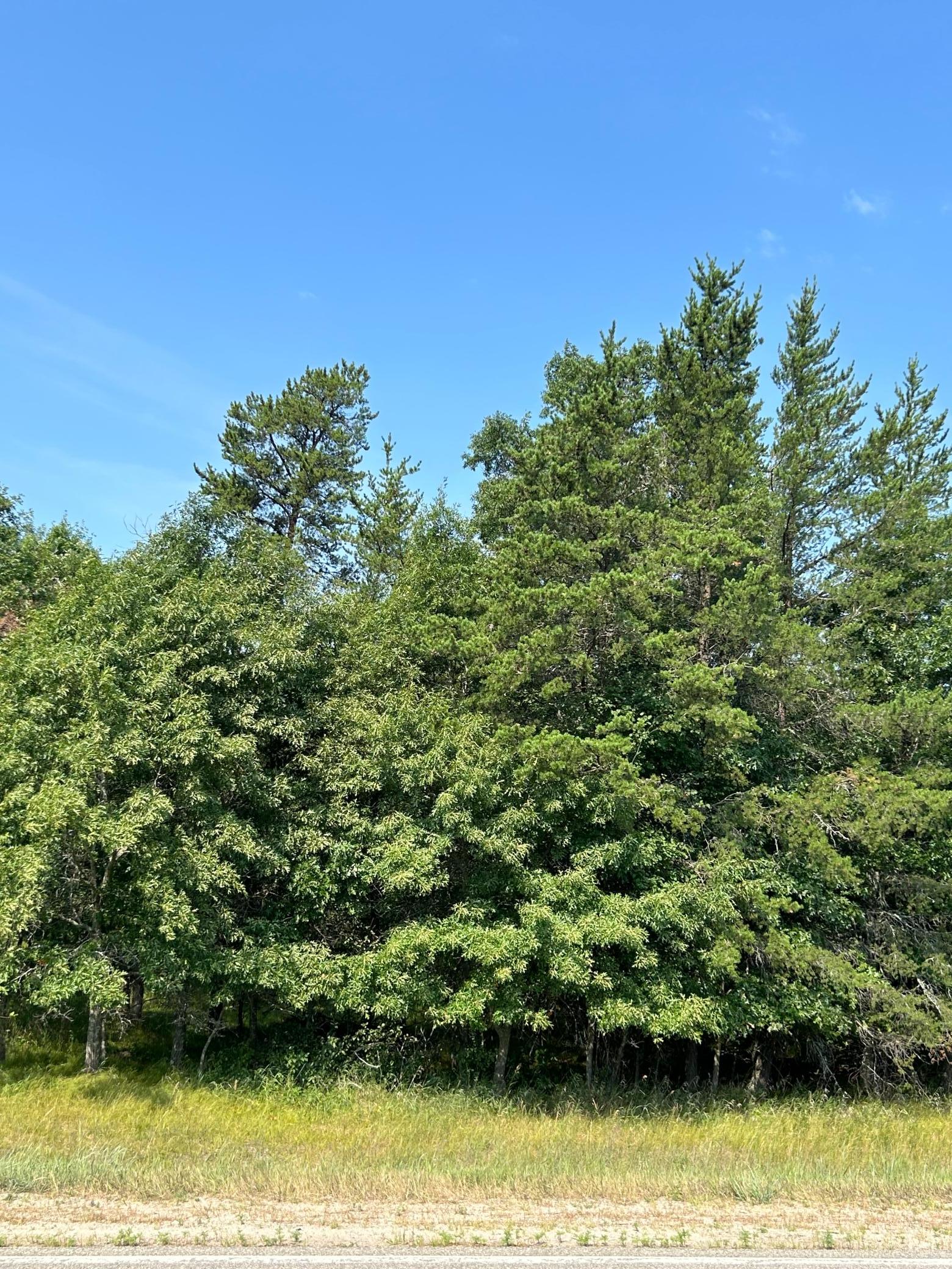 1974 single family home for sale at 417 Henrietta Avenue N in Park Rapids, MN — 2 bed, 1 bath (photo 29 of 34)