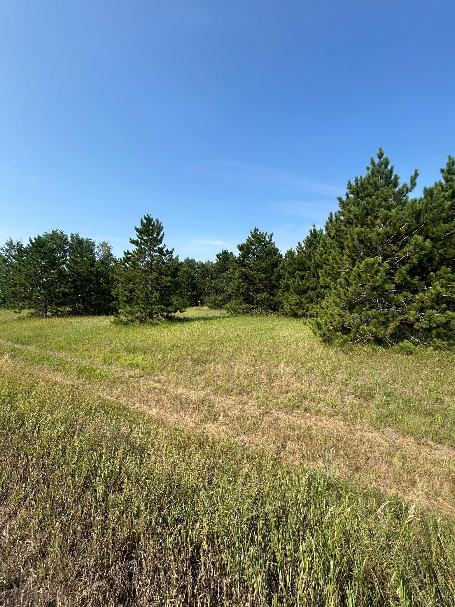 1974 single family home for sale at 417 Henrietta Avenue N in Park Rapids, MN — 2 bed, 1 bath (photo 34 of 34)