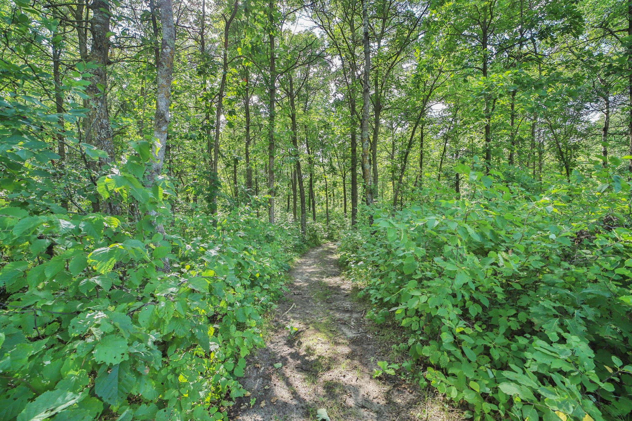 2021 single family home for sale at 49363 Morrison Line Road in Motley, MN — 3 bed, 2 bath (photo 44 of 45)