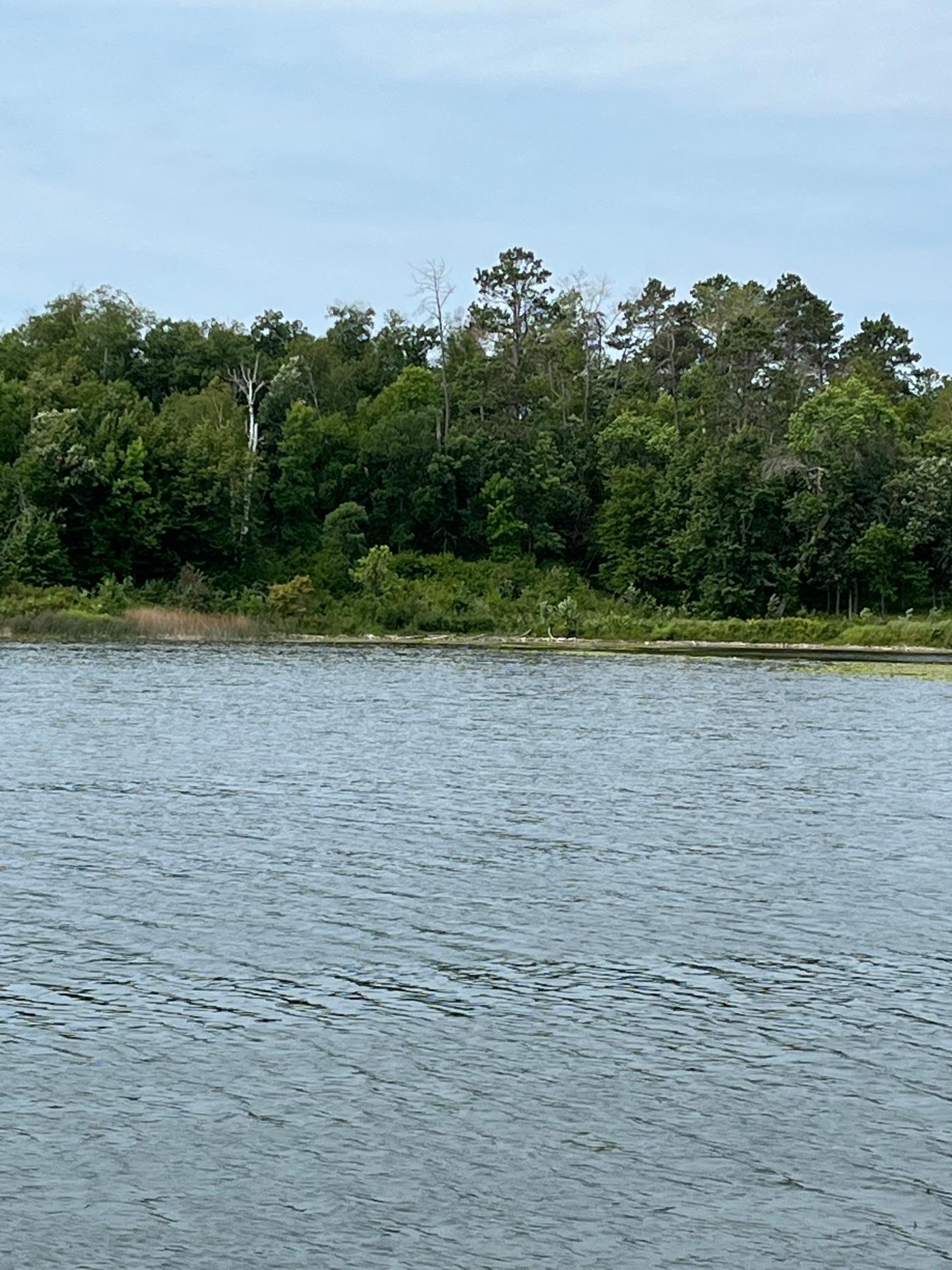 land for sale at 17907 County 81 in Park Rapids, MN (photo 23 of 31)