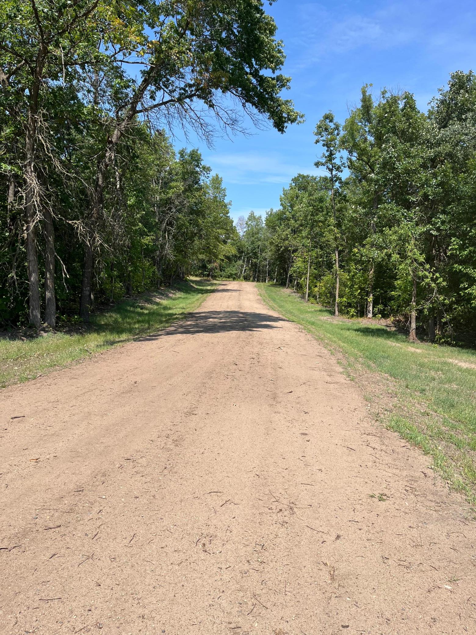 land for sale at 17907 County 81 in Park Rapids, MN (photo 24 of 31)