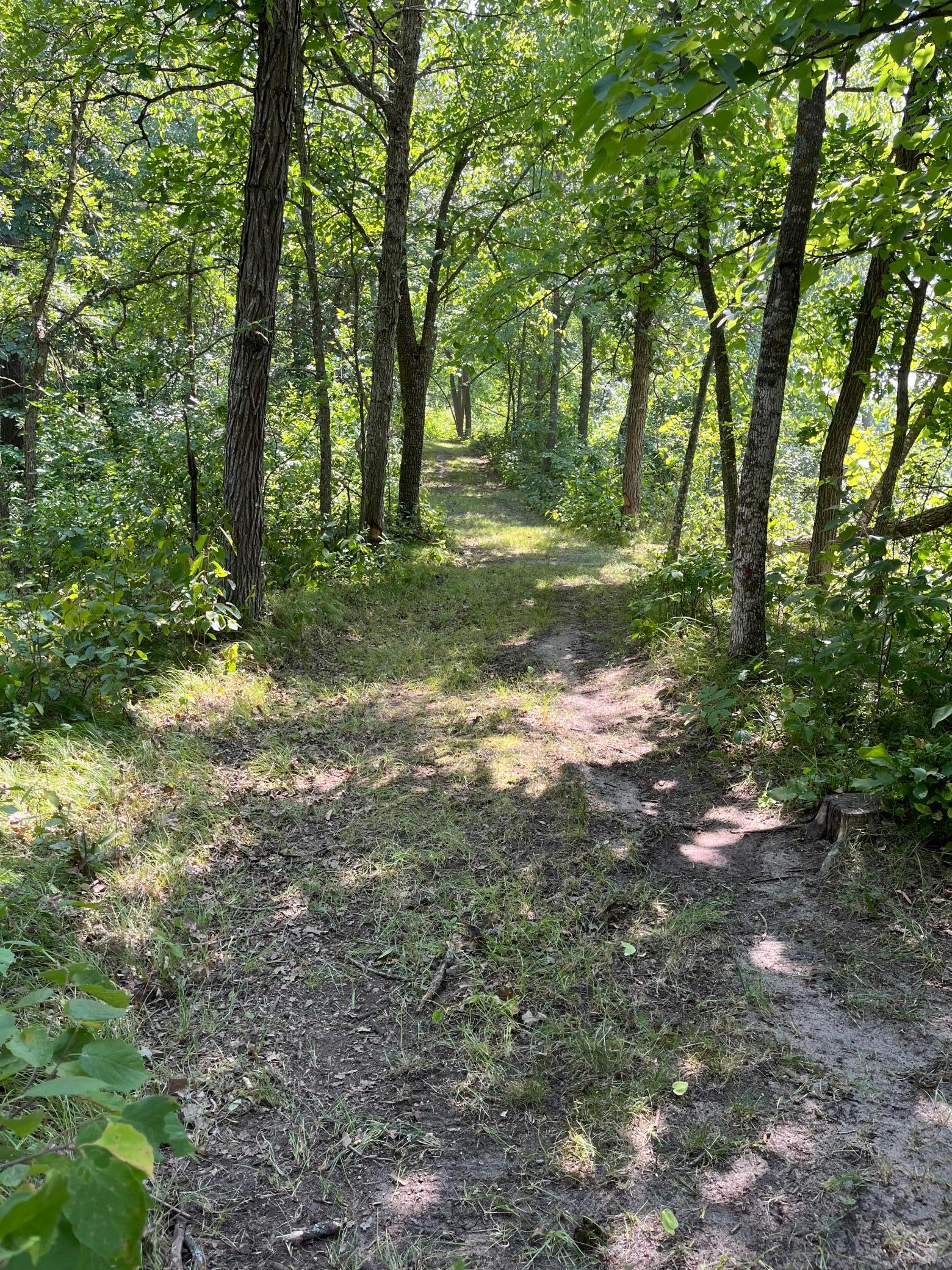 land for sale at 17907 County 81 in Park Rapids, MN (photo 26 of 31)