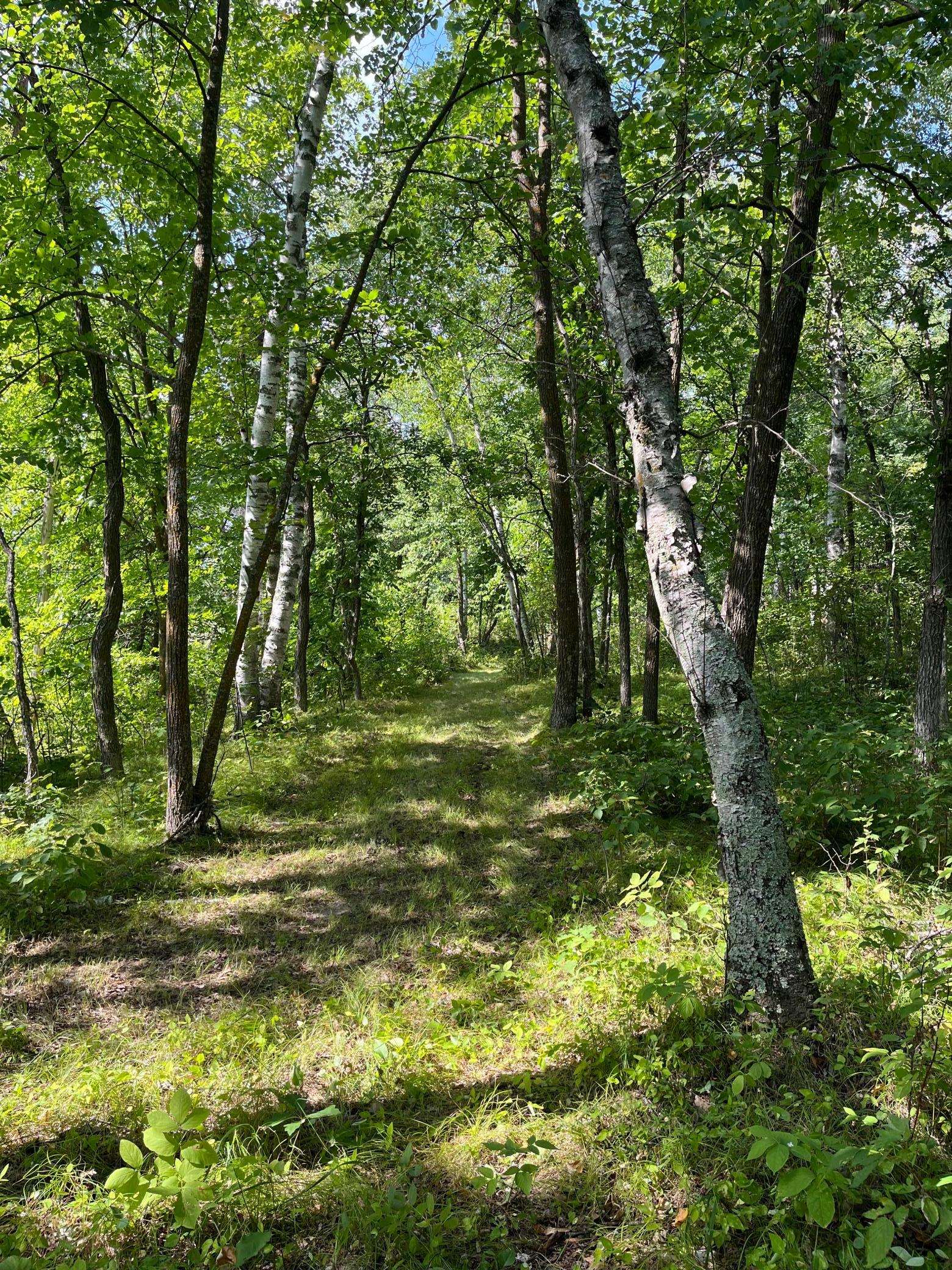 land for sale at 17907 County 81 in Park Rapids, MN (photo 27 of 31)